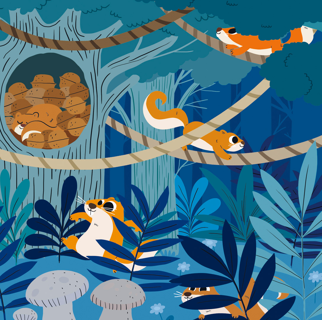 Illustrations pour deux cahiers de jeux