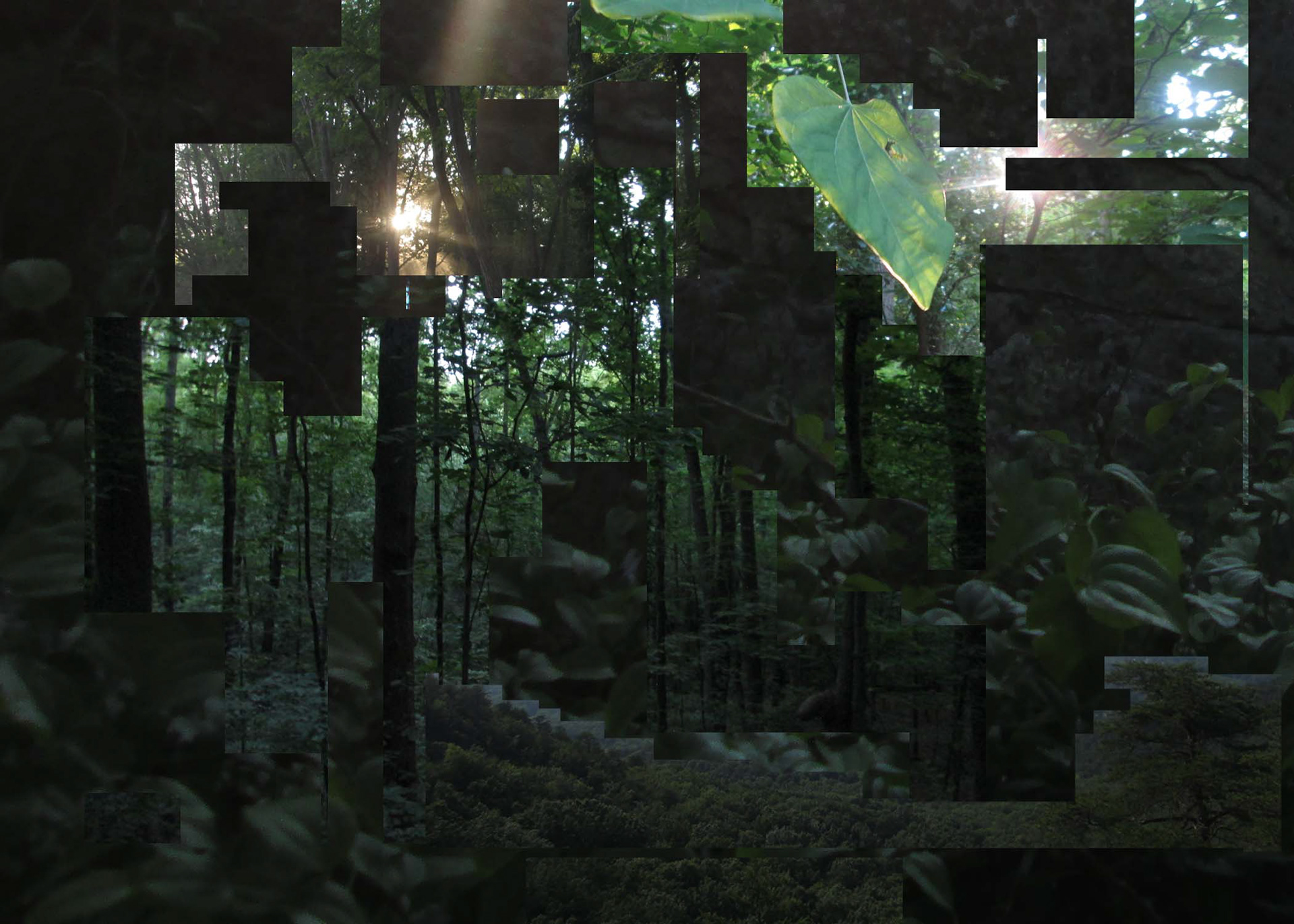"All of my Green!" 2023 - Digital collage using personal images