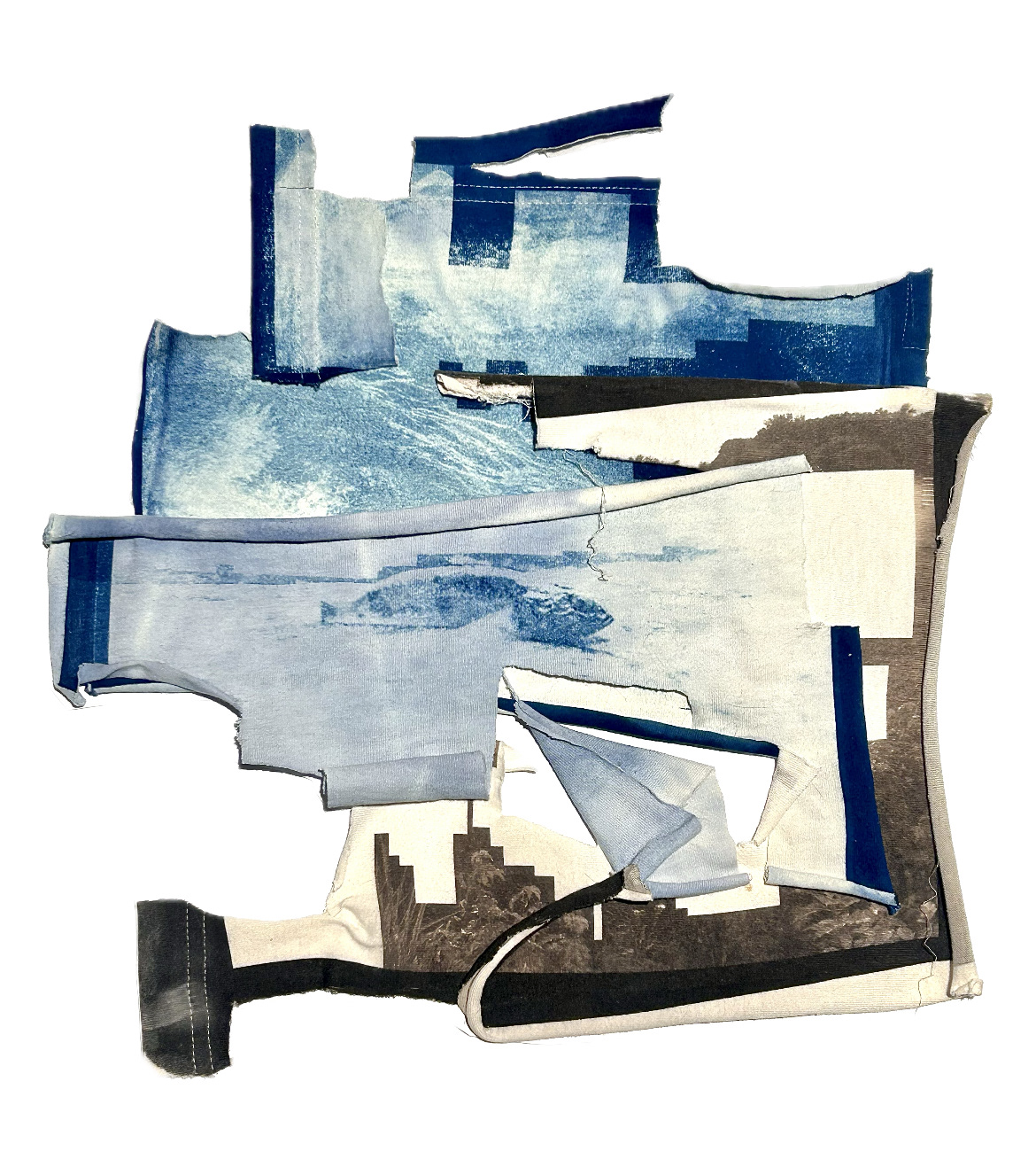 Dead Fish Collage, 2024. Cyanotype and Van Dyke Brown prints on cotton.