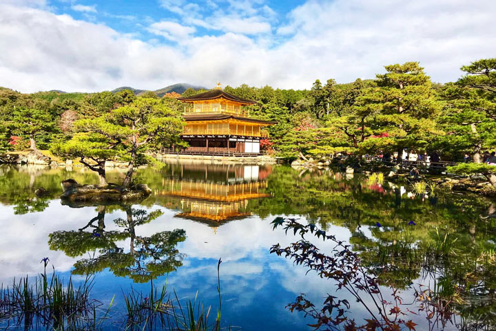 2016 kinkakuji