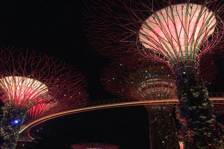2017 Singapore