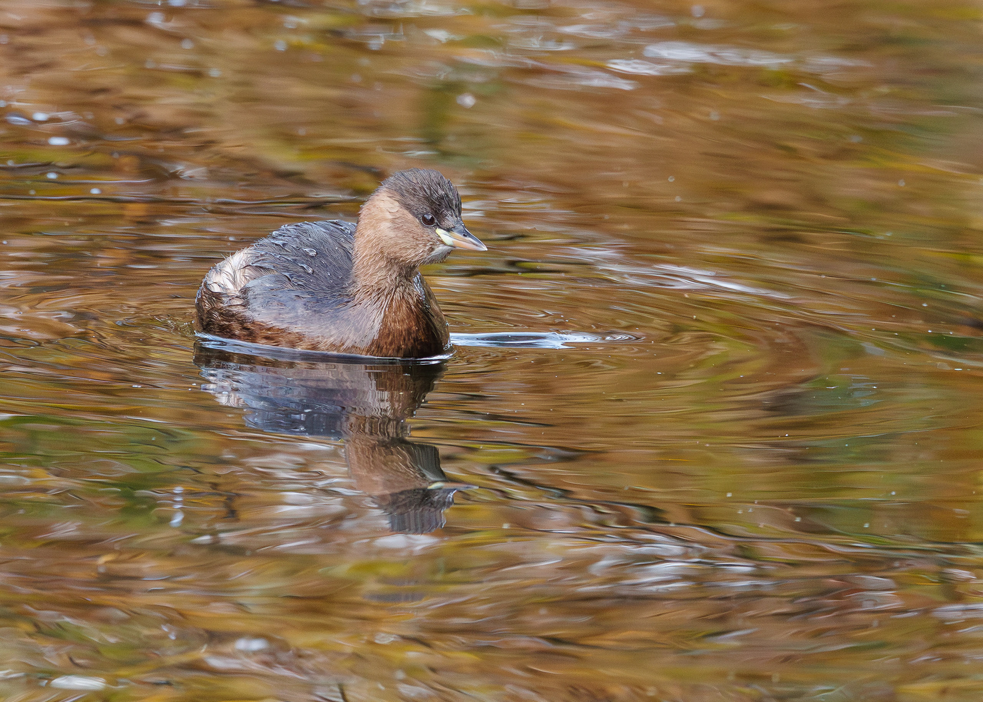 Day 3