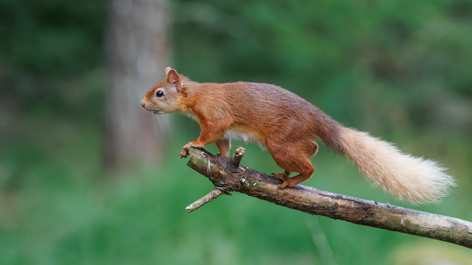Day 2