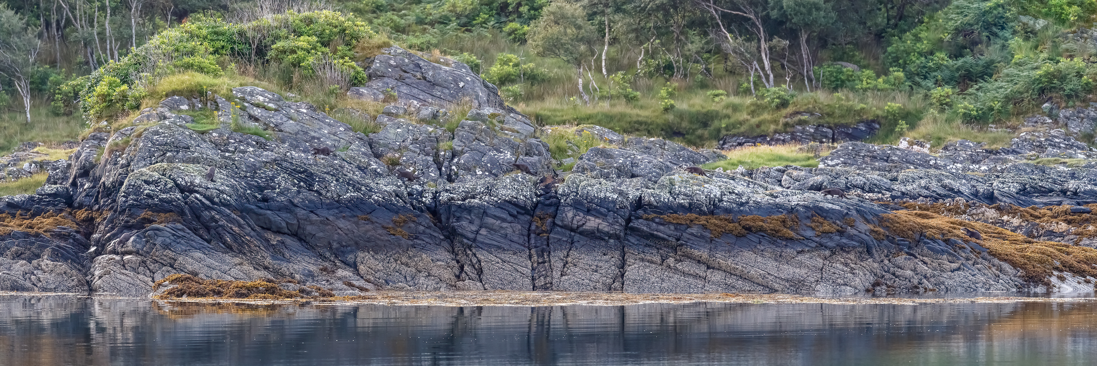 Ardnamurchan - West Highland