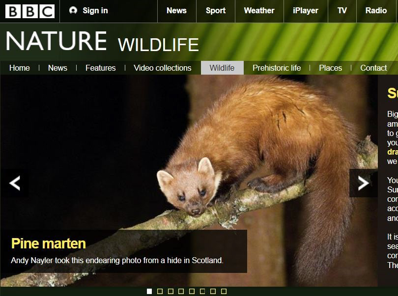 BBC Nature 2013