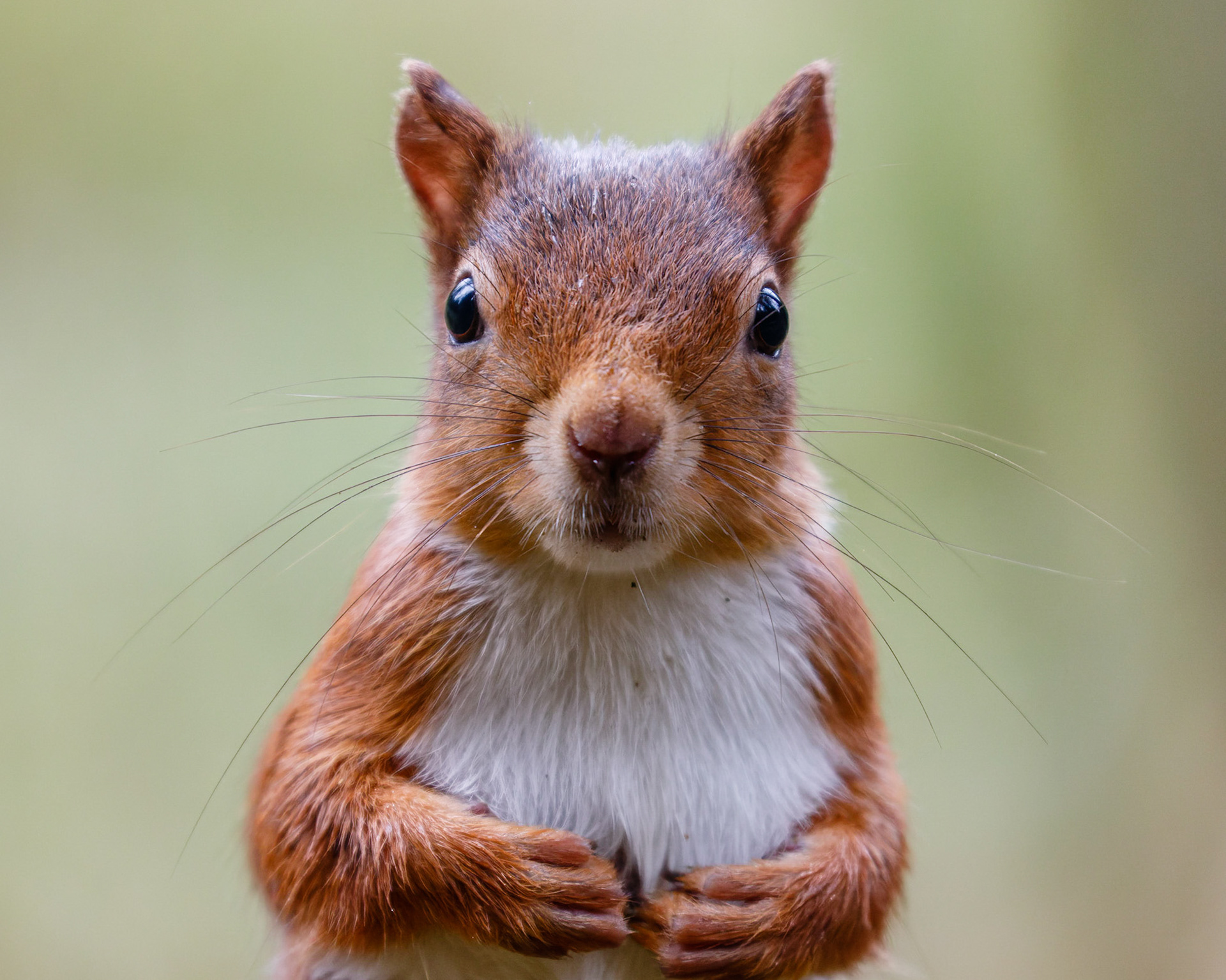 BWPA Finalist 2024