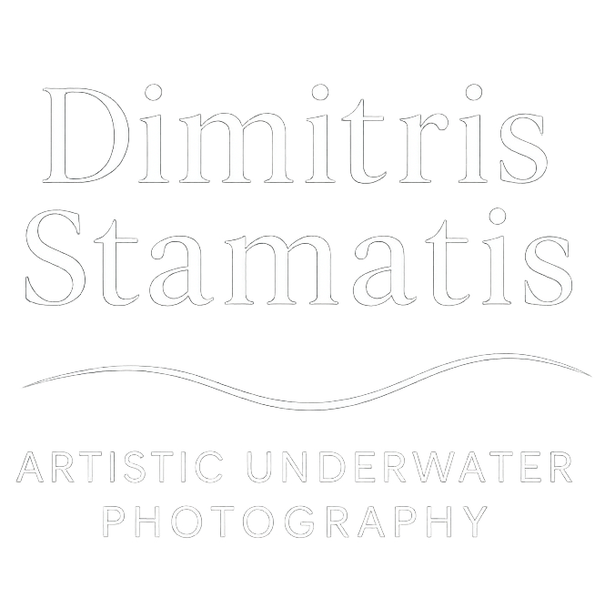 Dimitris Stamatis Artistic Underwater Photography