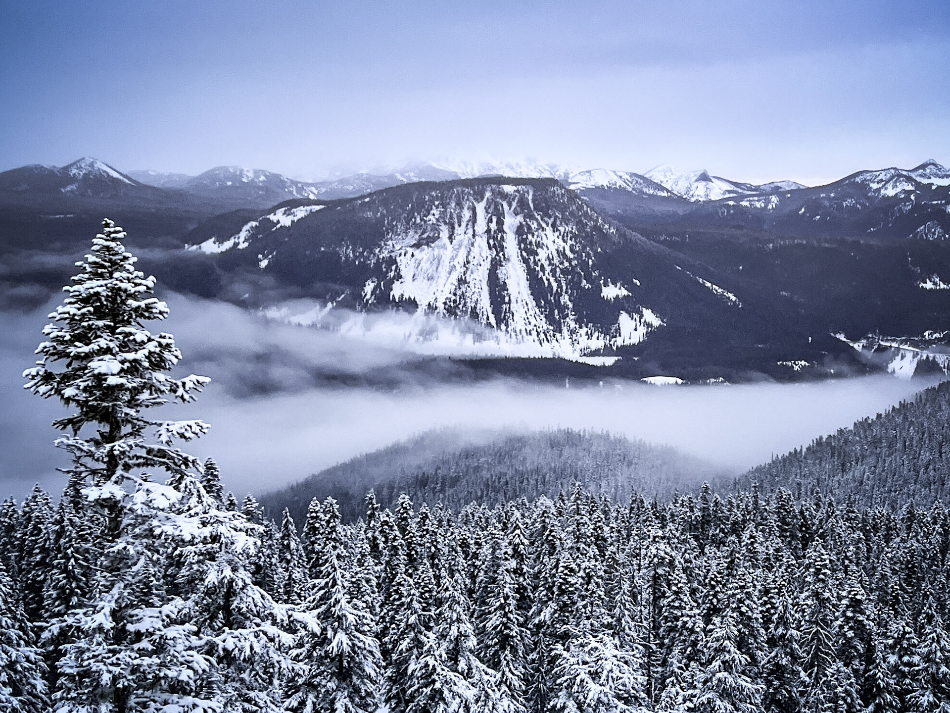 Spiral Butte Fog