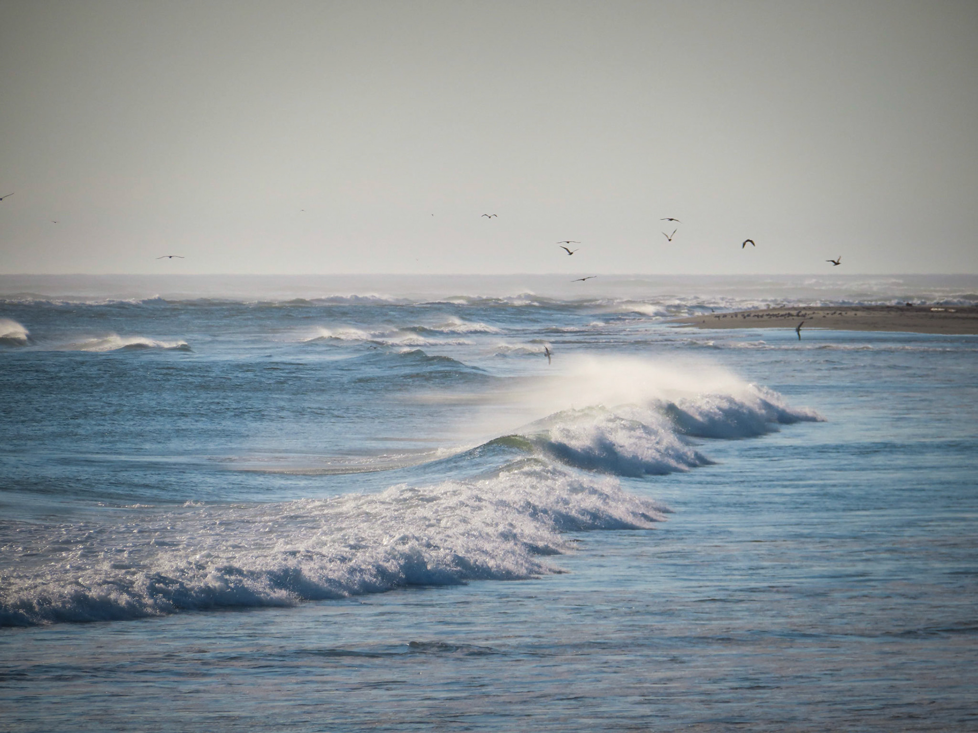Tidal Motion