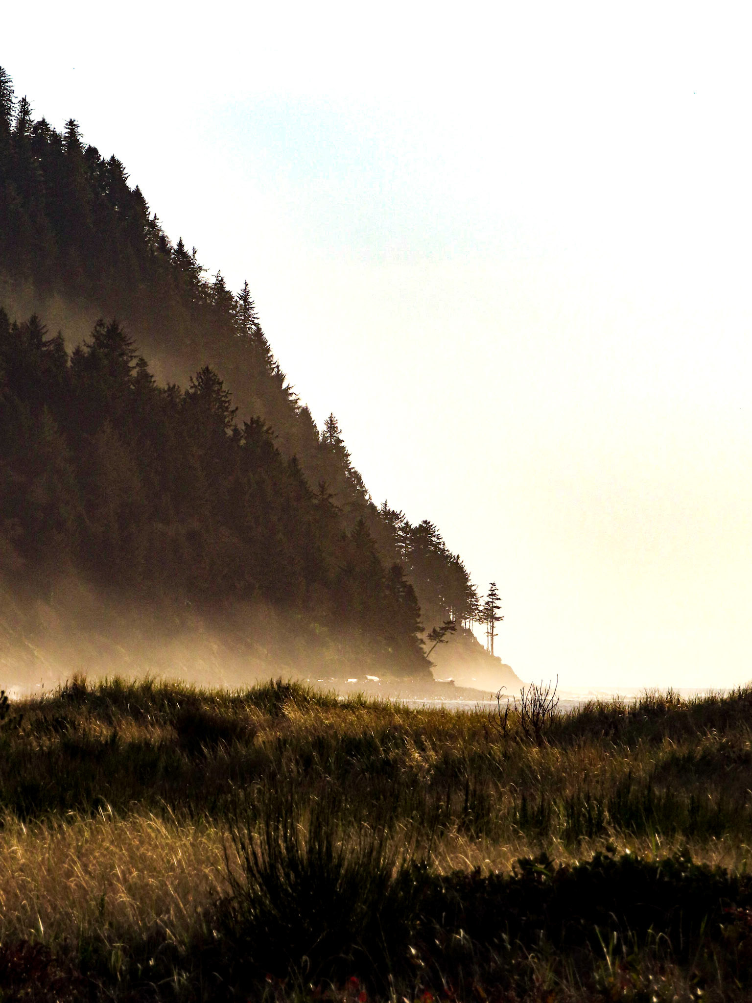 The point on Tillamook Head