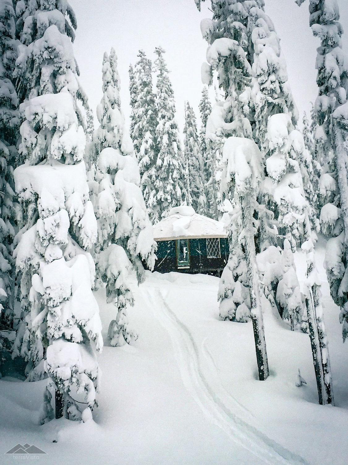 The Yurt