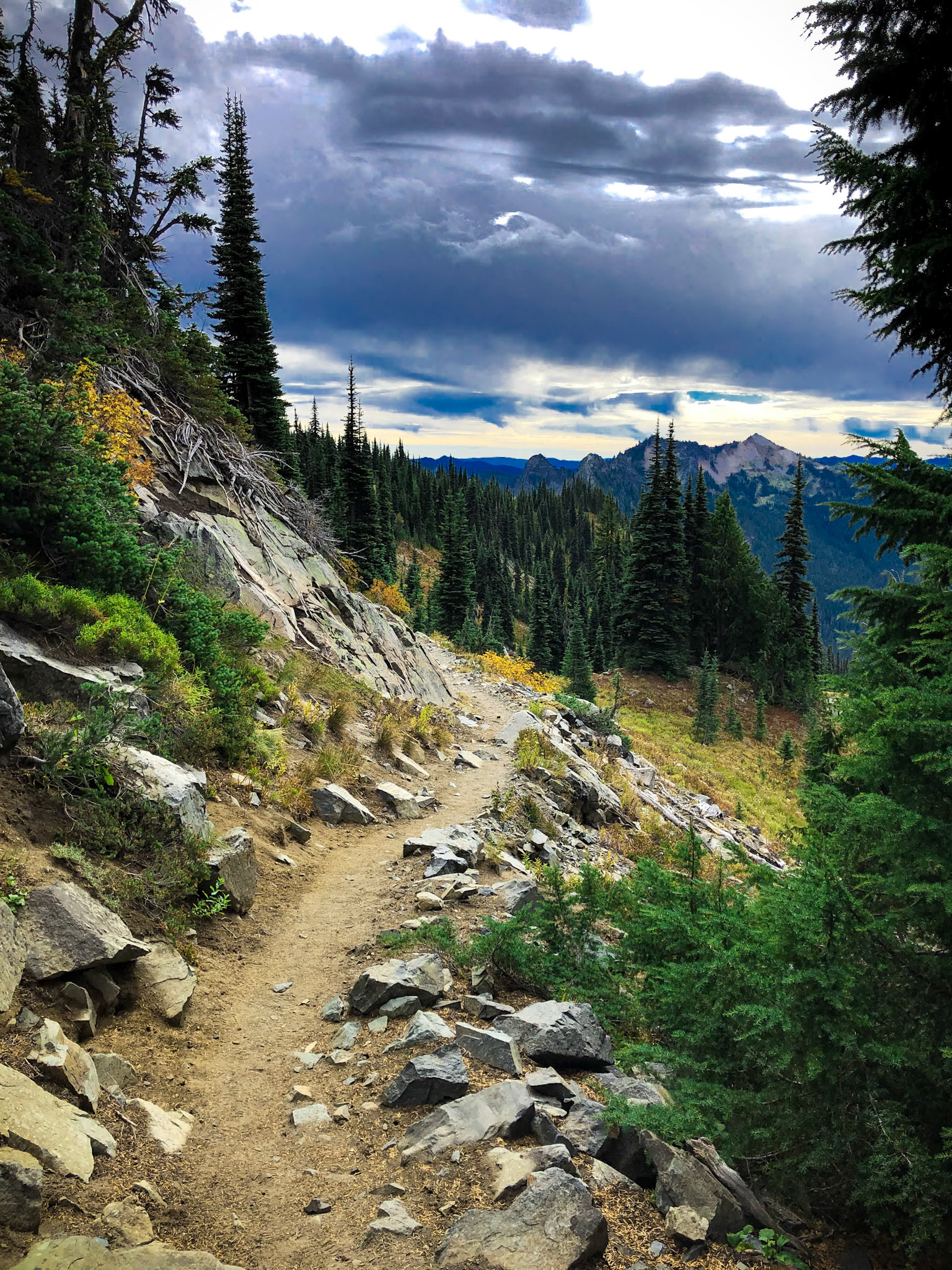 Sourdough Pathway, 2020