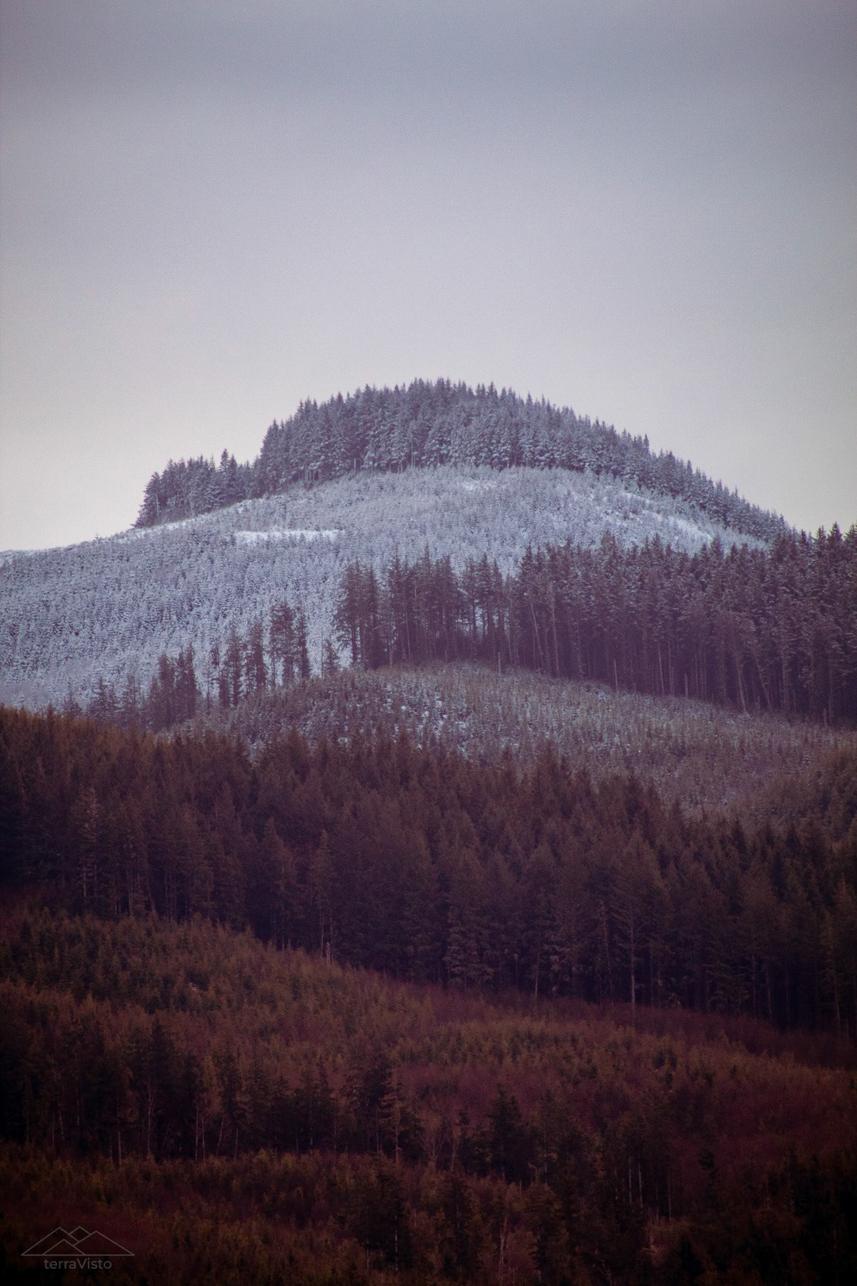 Clatsop Mohawk