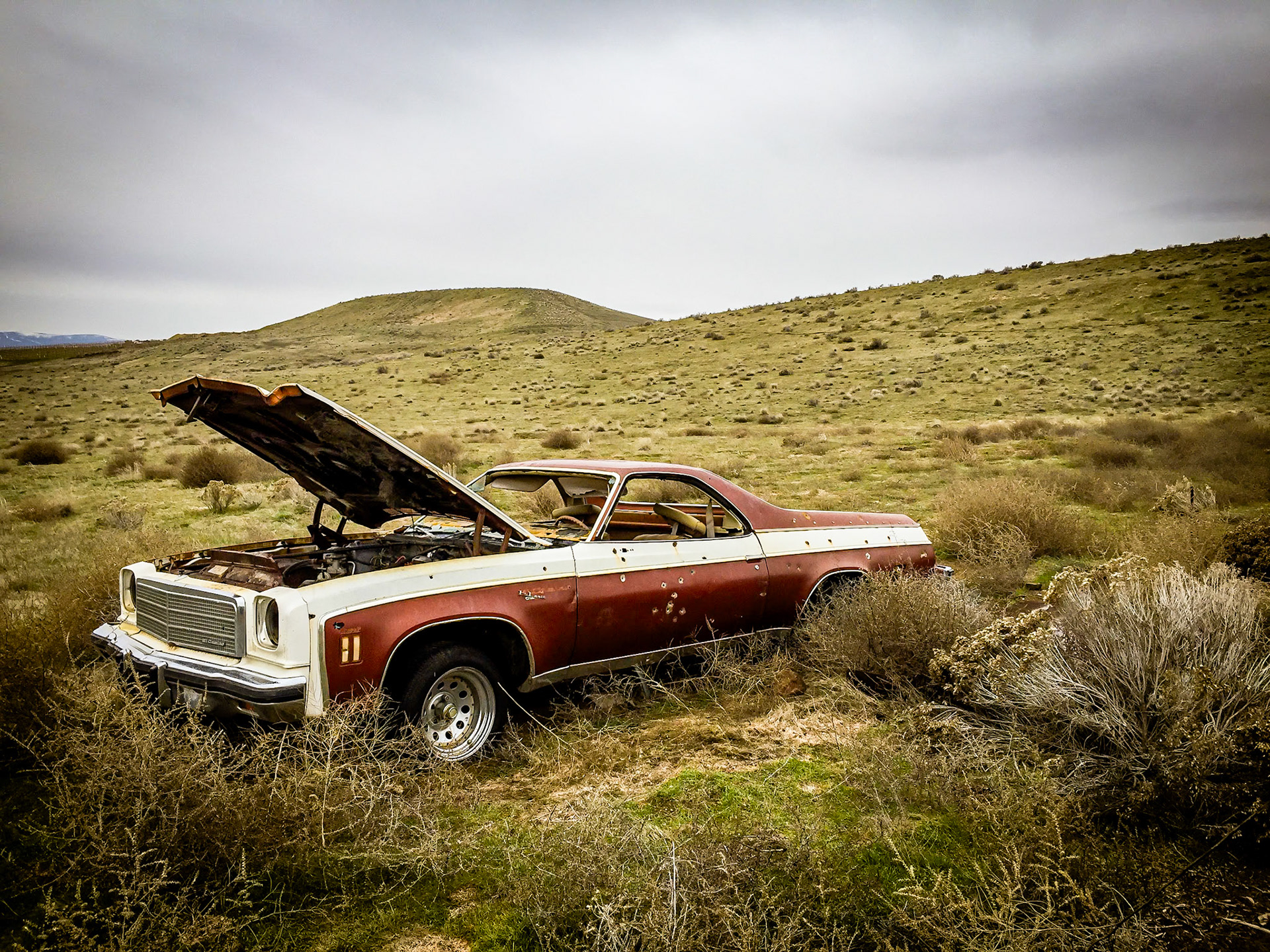 El Camino
