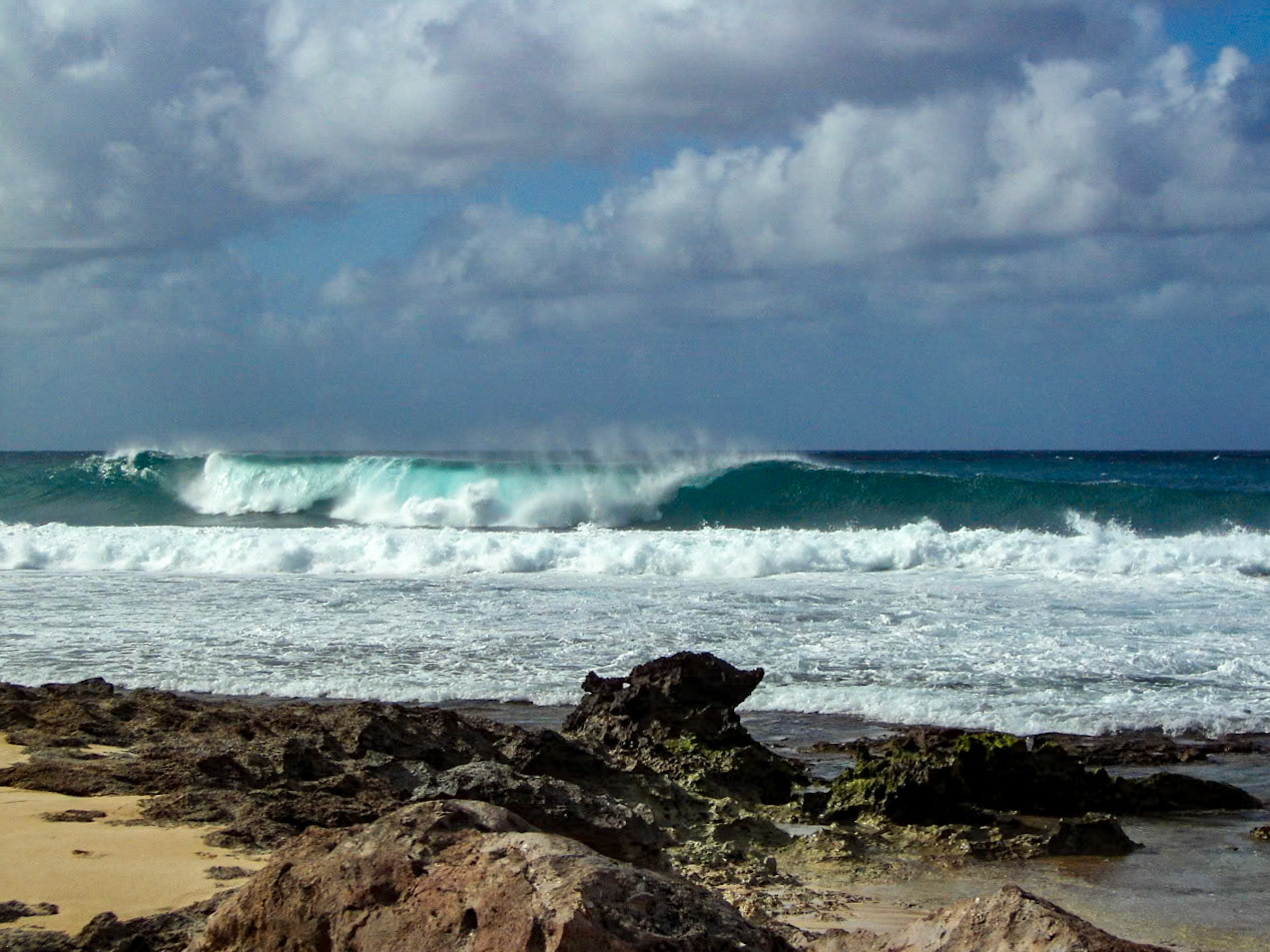 Backdoor