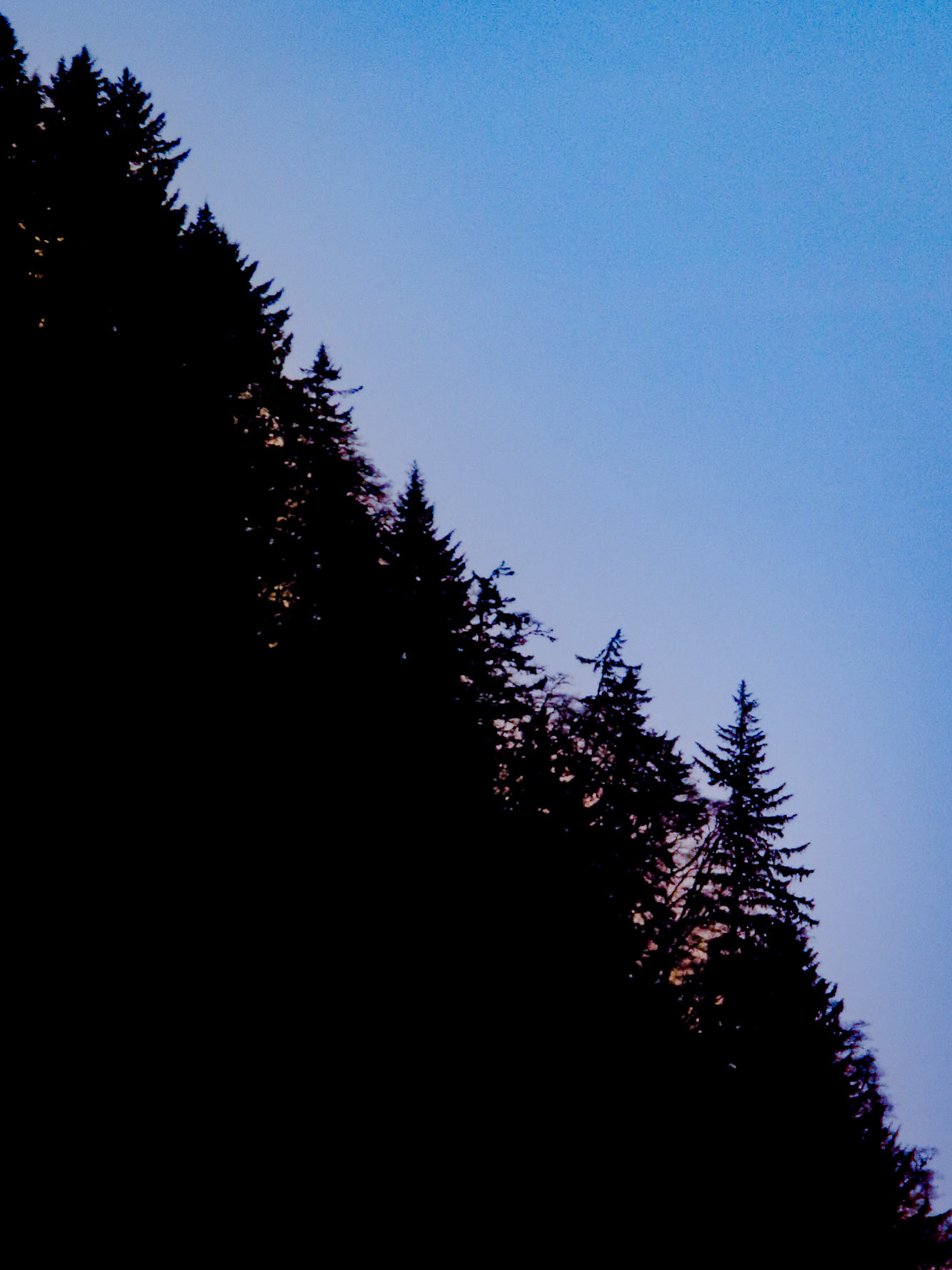 A little bit of post processing added to the edge of Tillamook Head