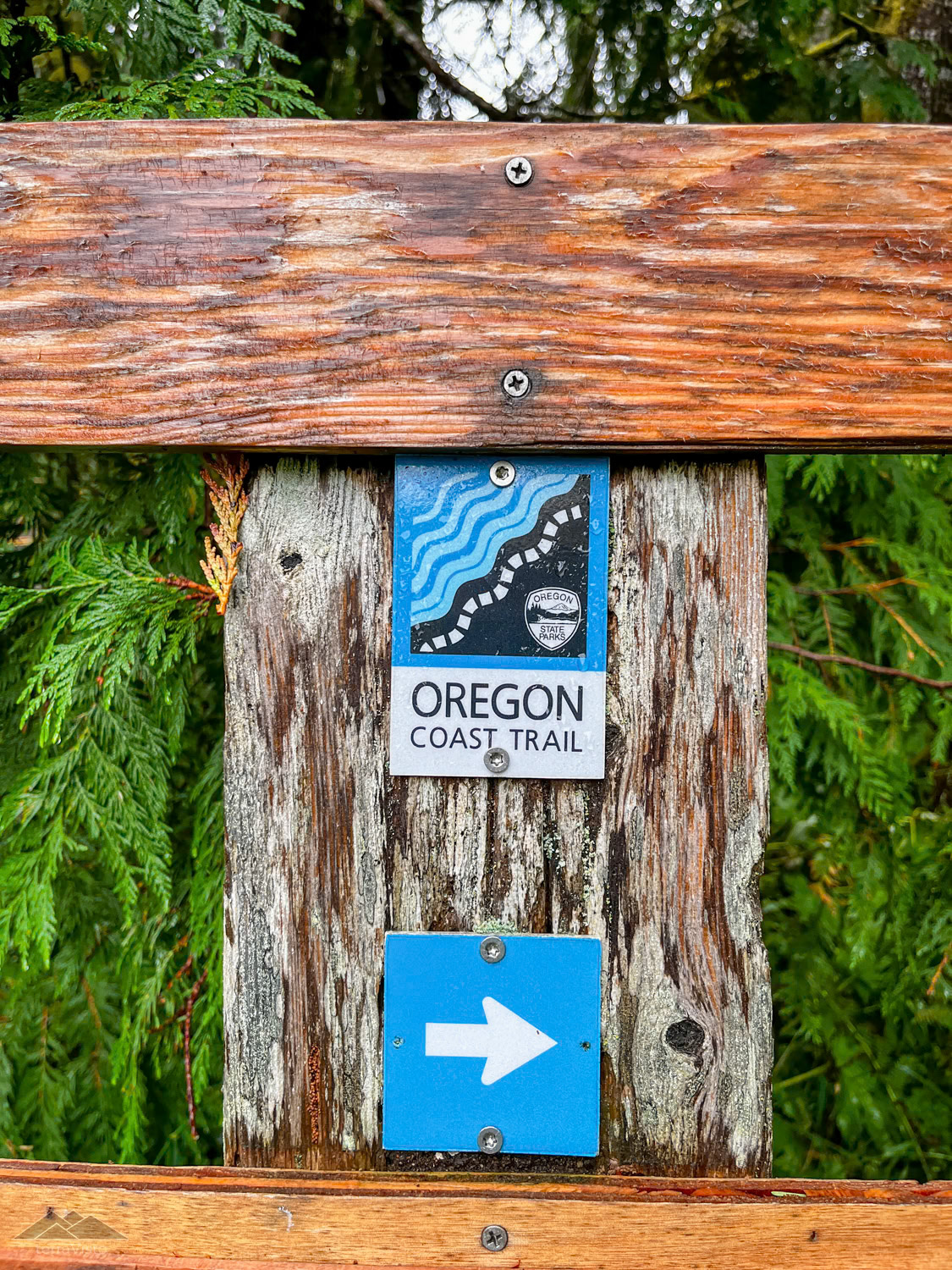 Trail Blazes are cool. This one was wet.