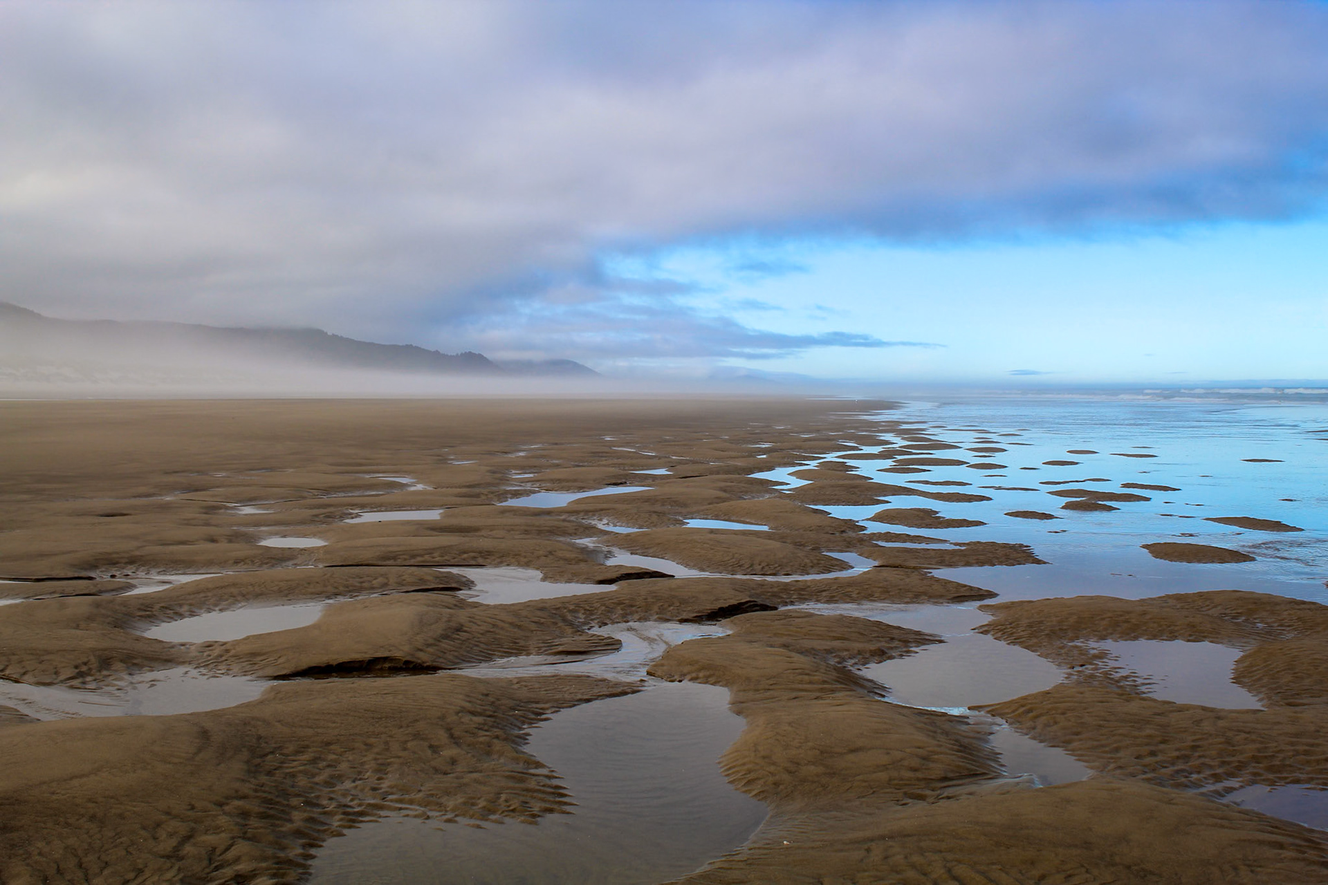 Tidepool Horizon