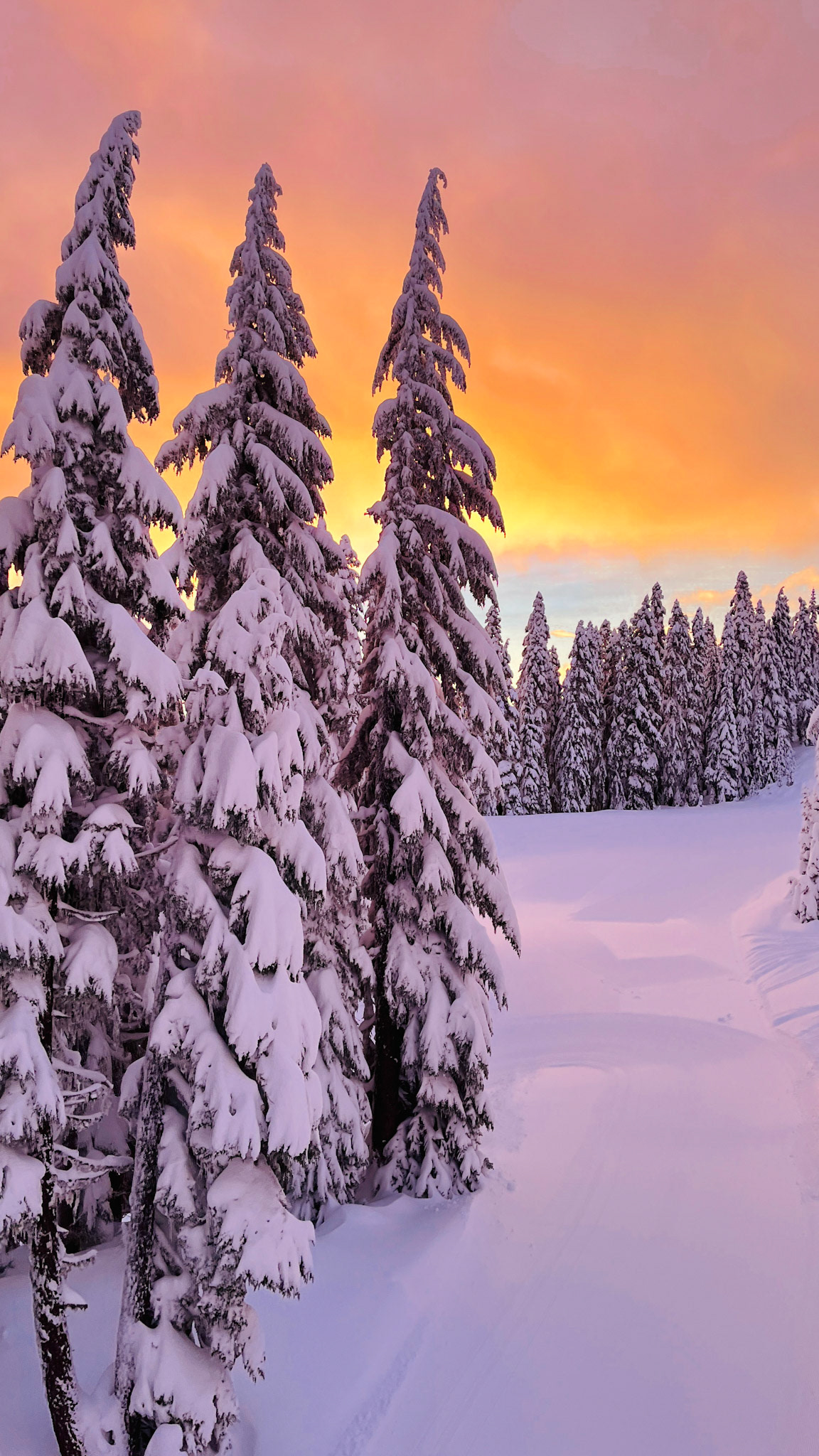 Snow Fire