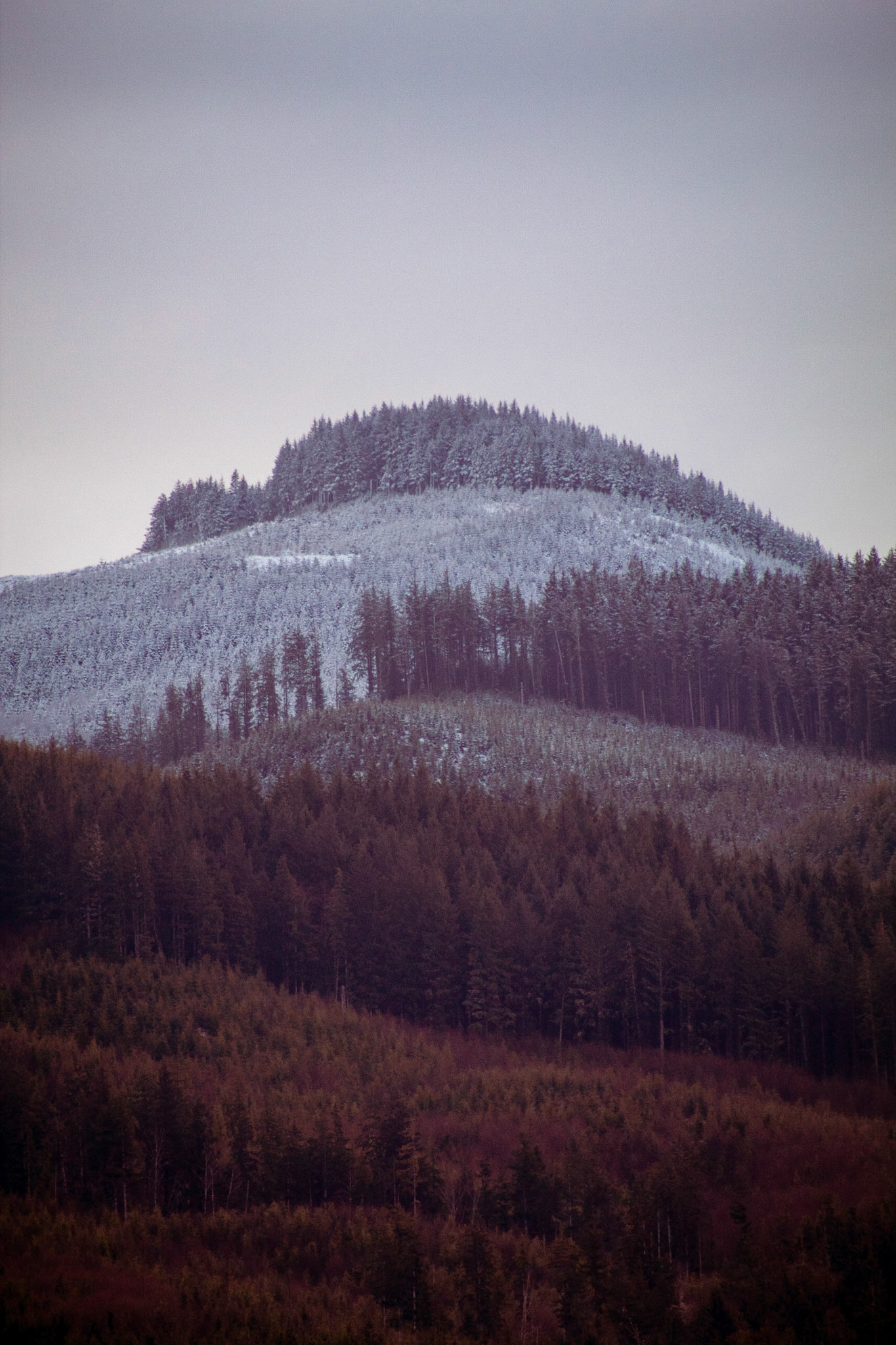 Clatsop Mohawk
