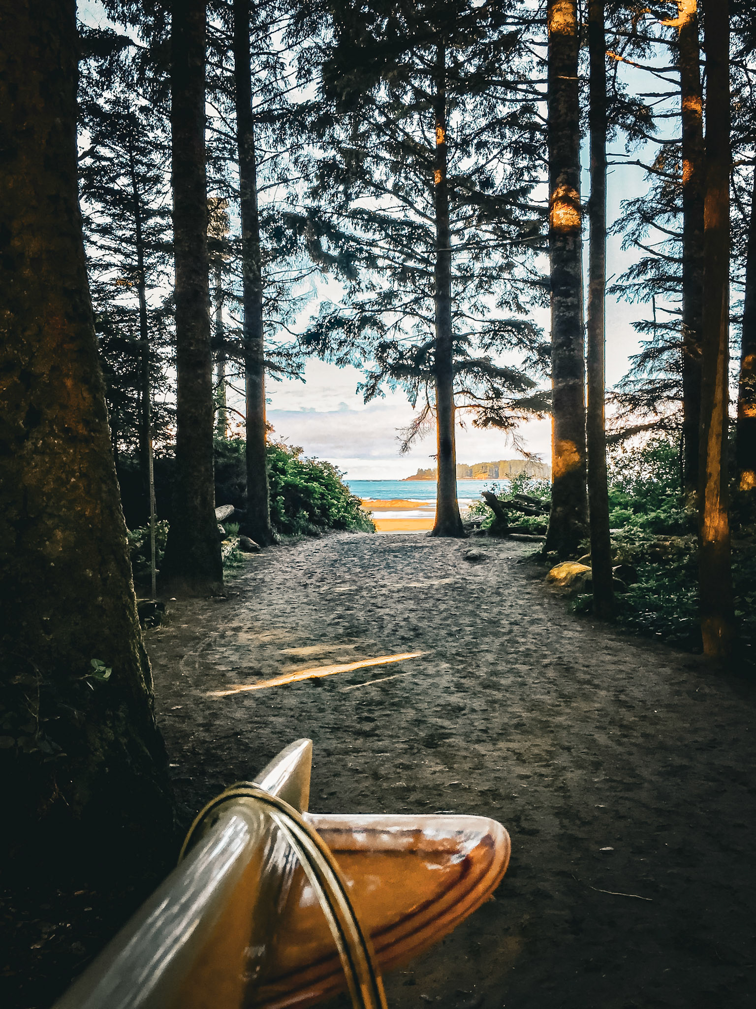 The Search