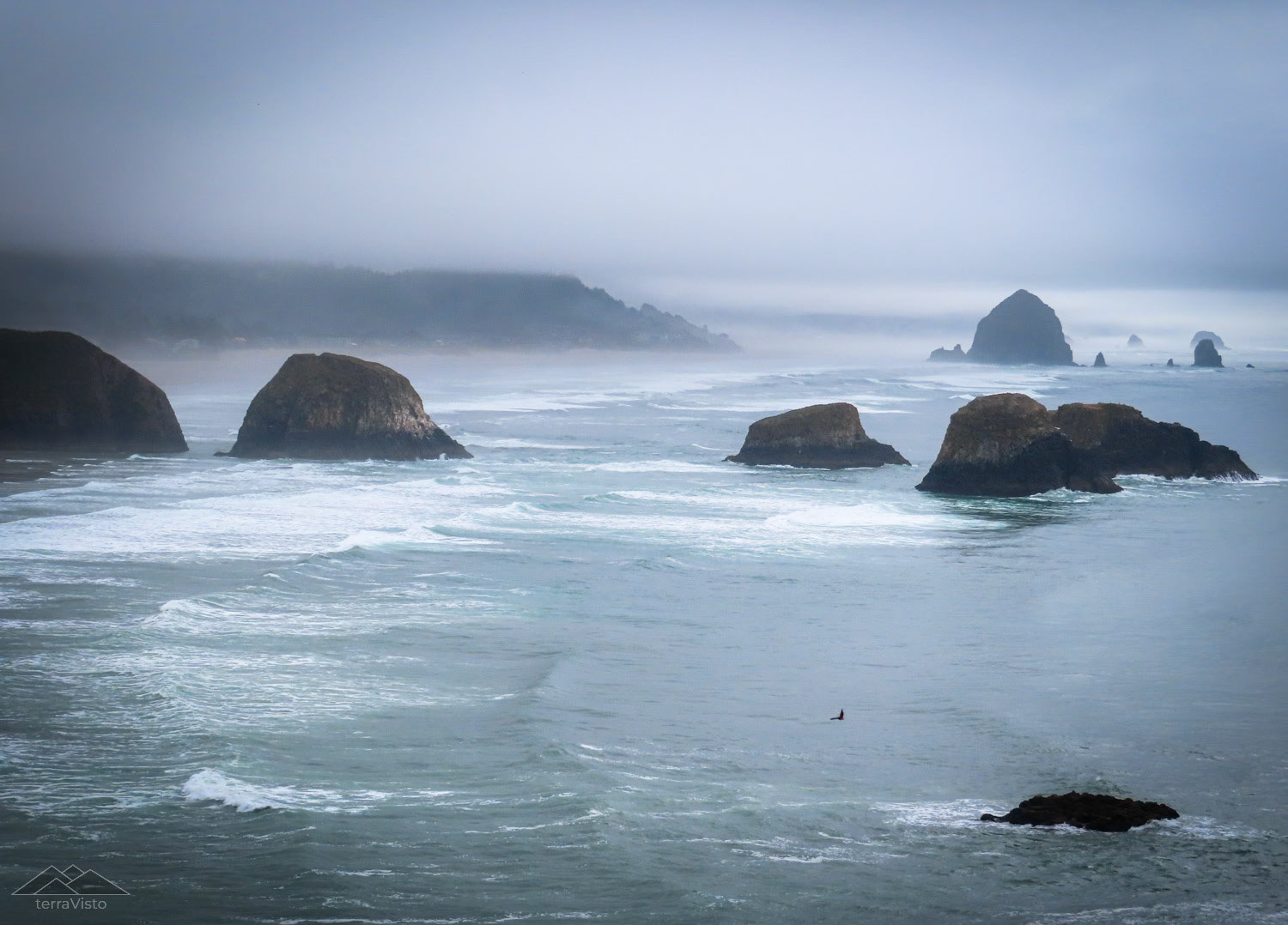 The view from Ecola.