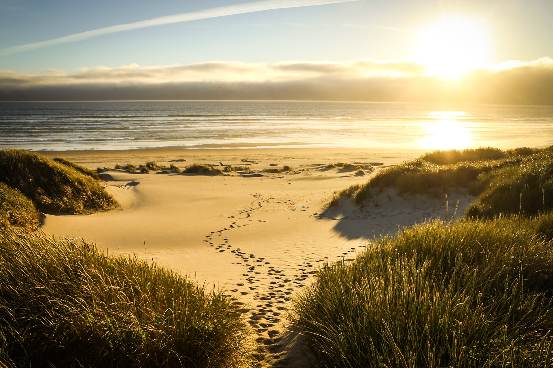 Oregon Coast