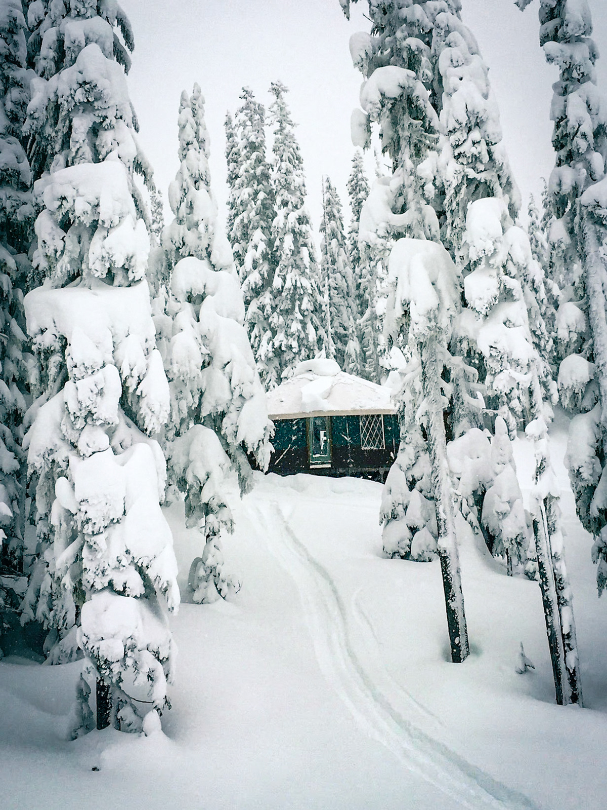 The Yurt