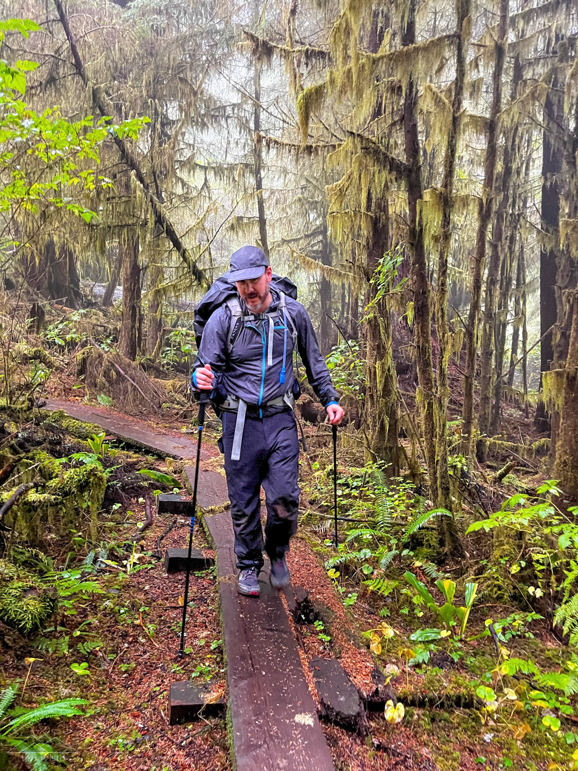 One of the many eroded, rotted and slippery wooden trail sections on Tillamook Head.