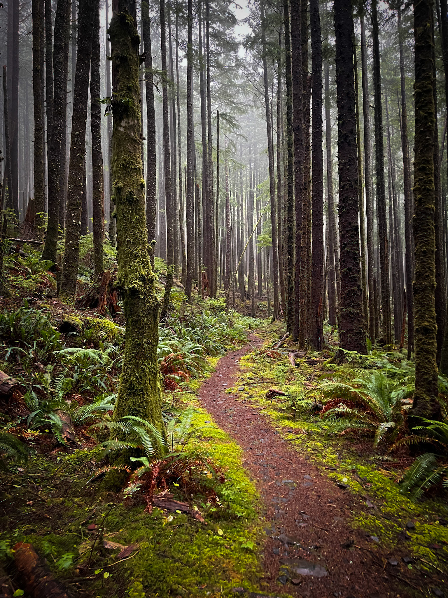 The Oregon Coast Trail