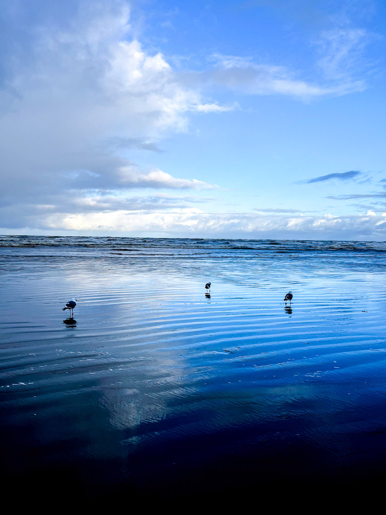 Ebbing Tide sky reflection on Seaside Beach