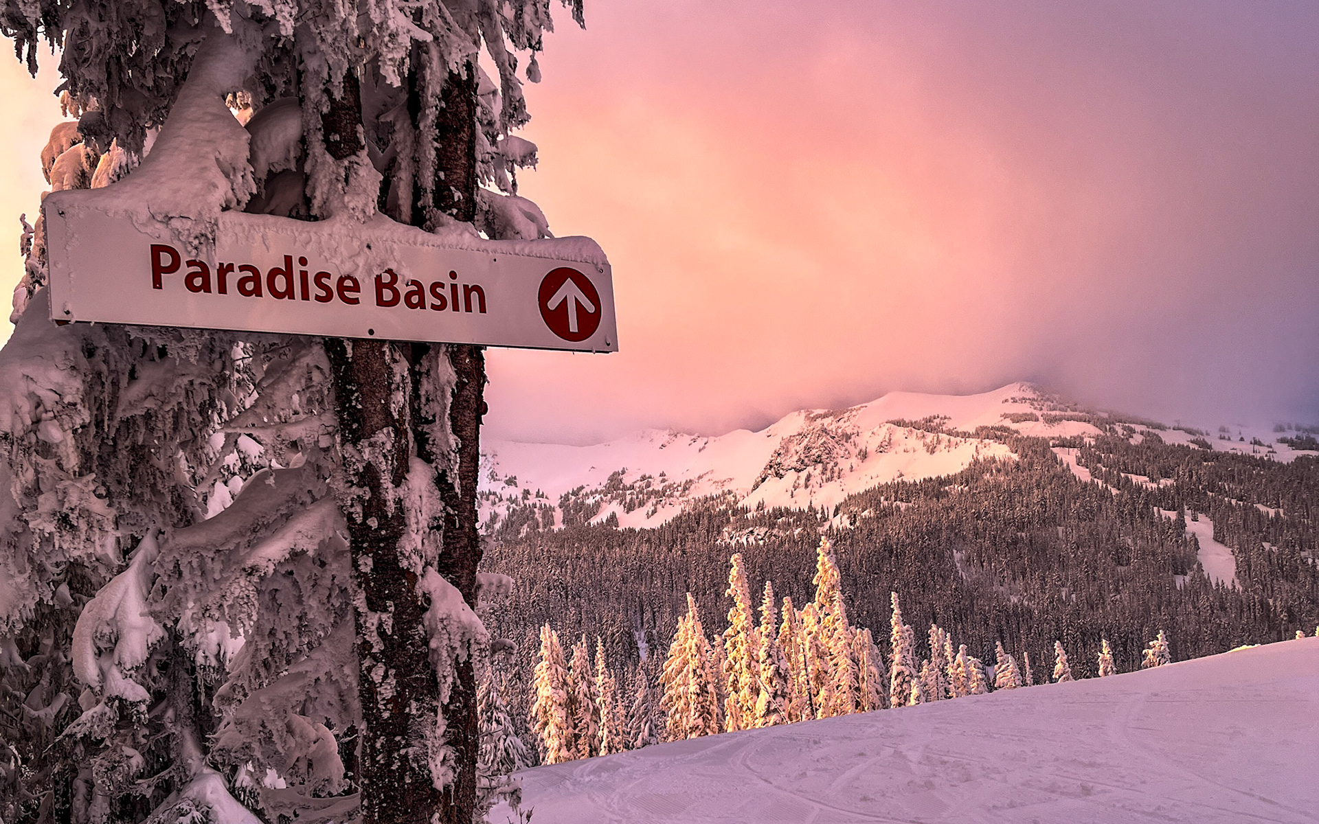Paradise Basin