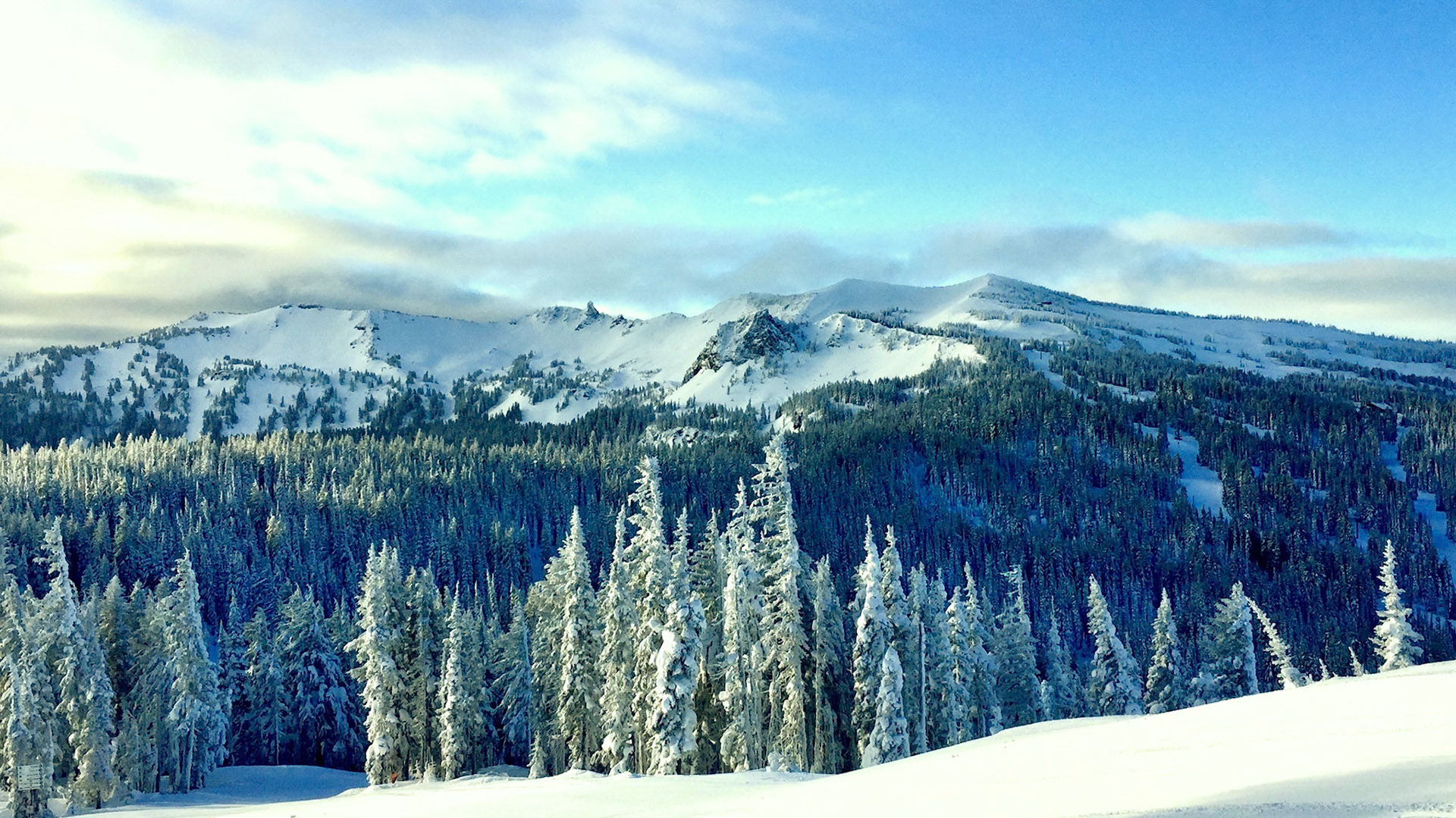 Paradise Basin Pastels