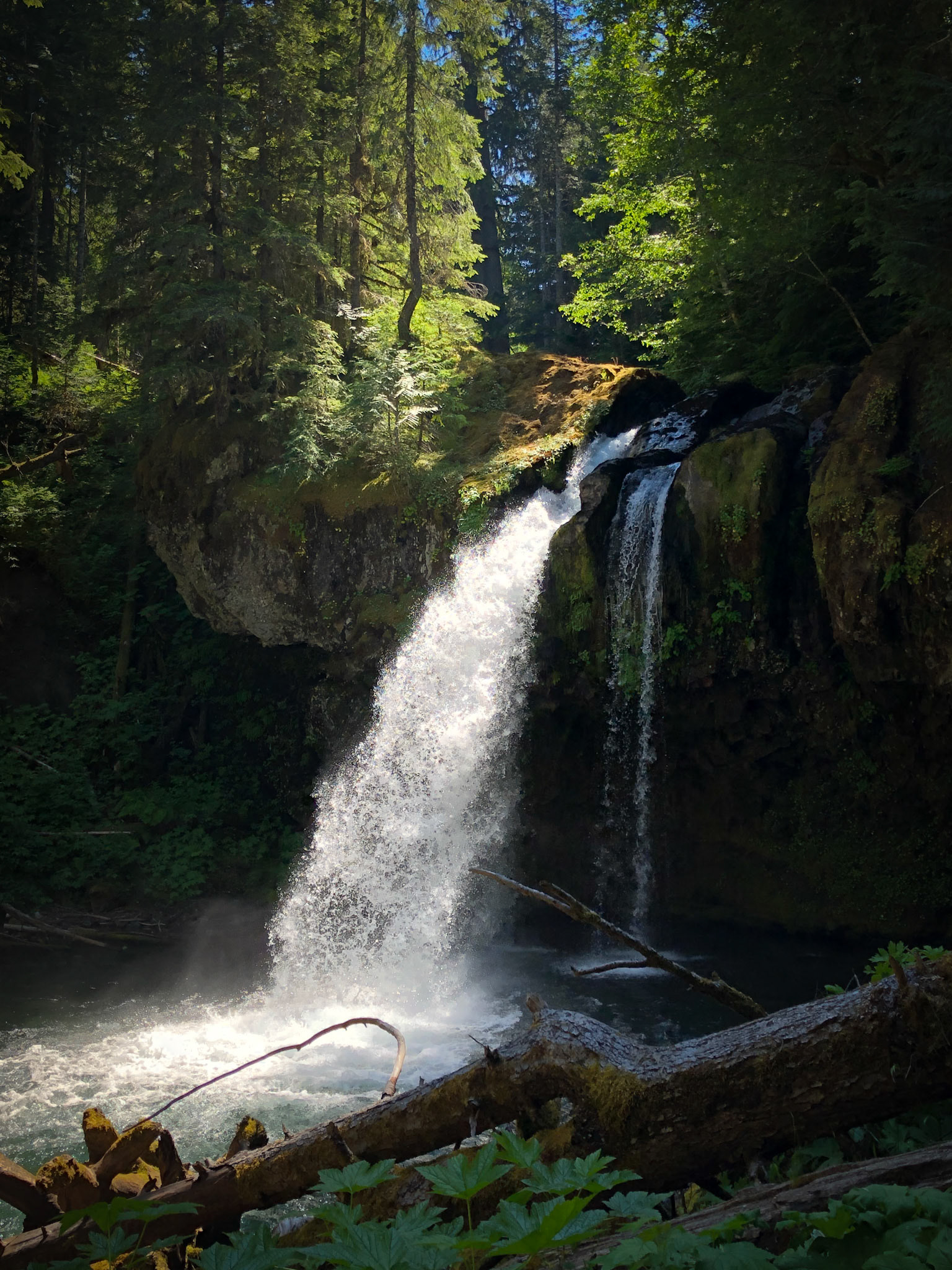 Iron Creek Falls