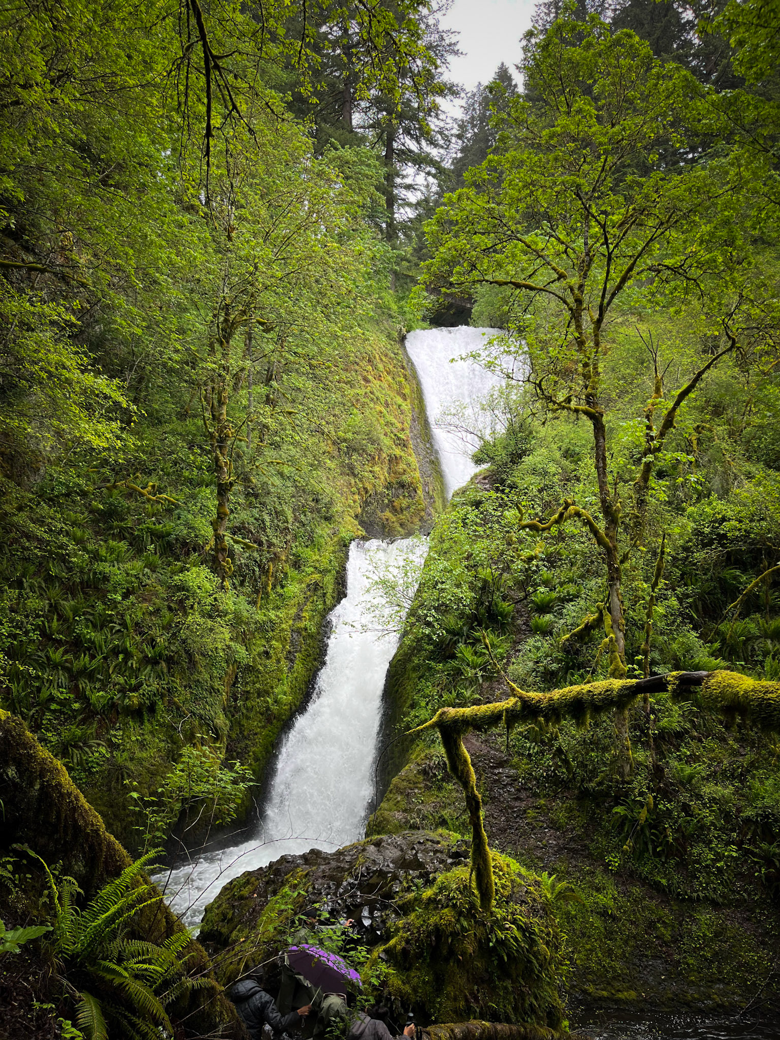 Bridal Veil Falls