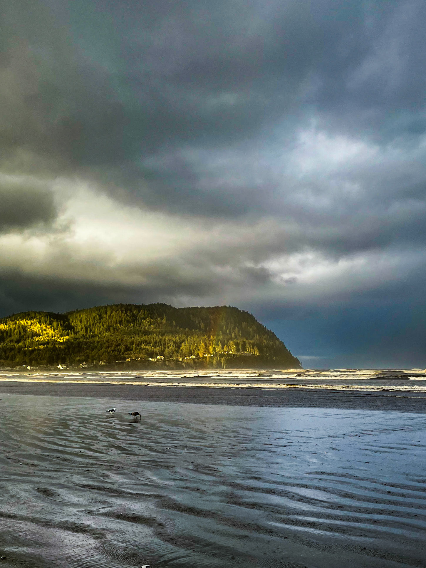 Sunrise rain on Tillamook Head in Seaside