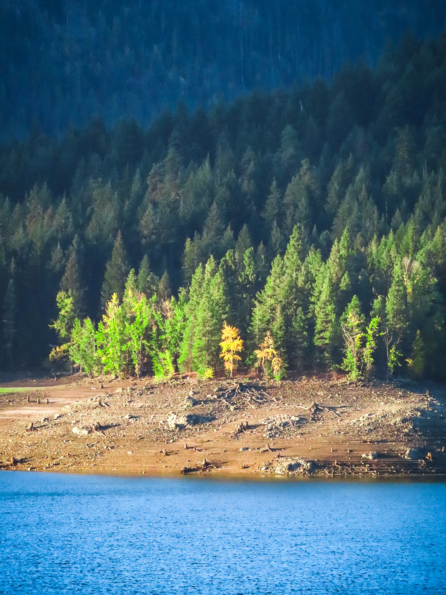 Edge of Color