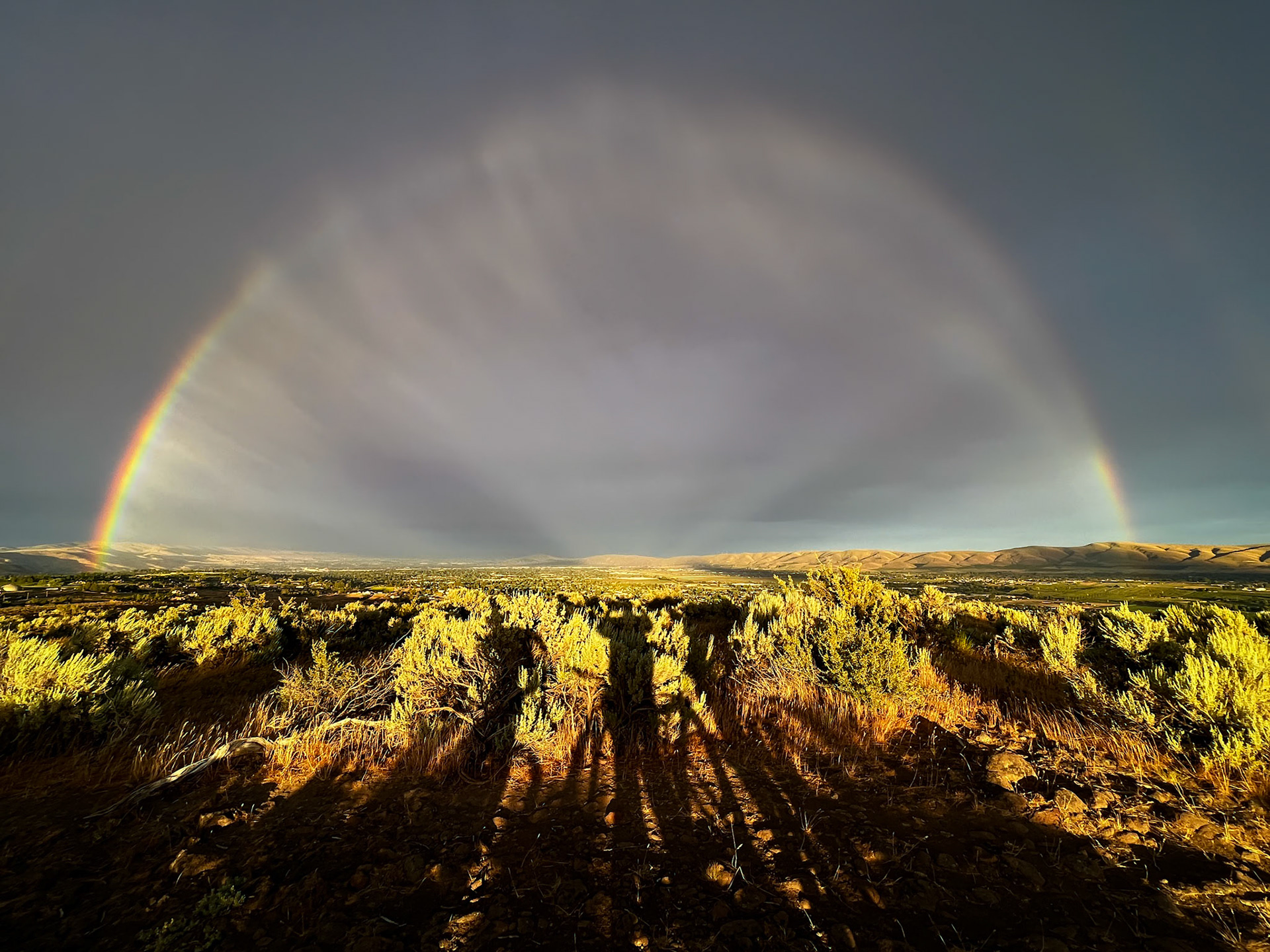 Uplands Rainbow