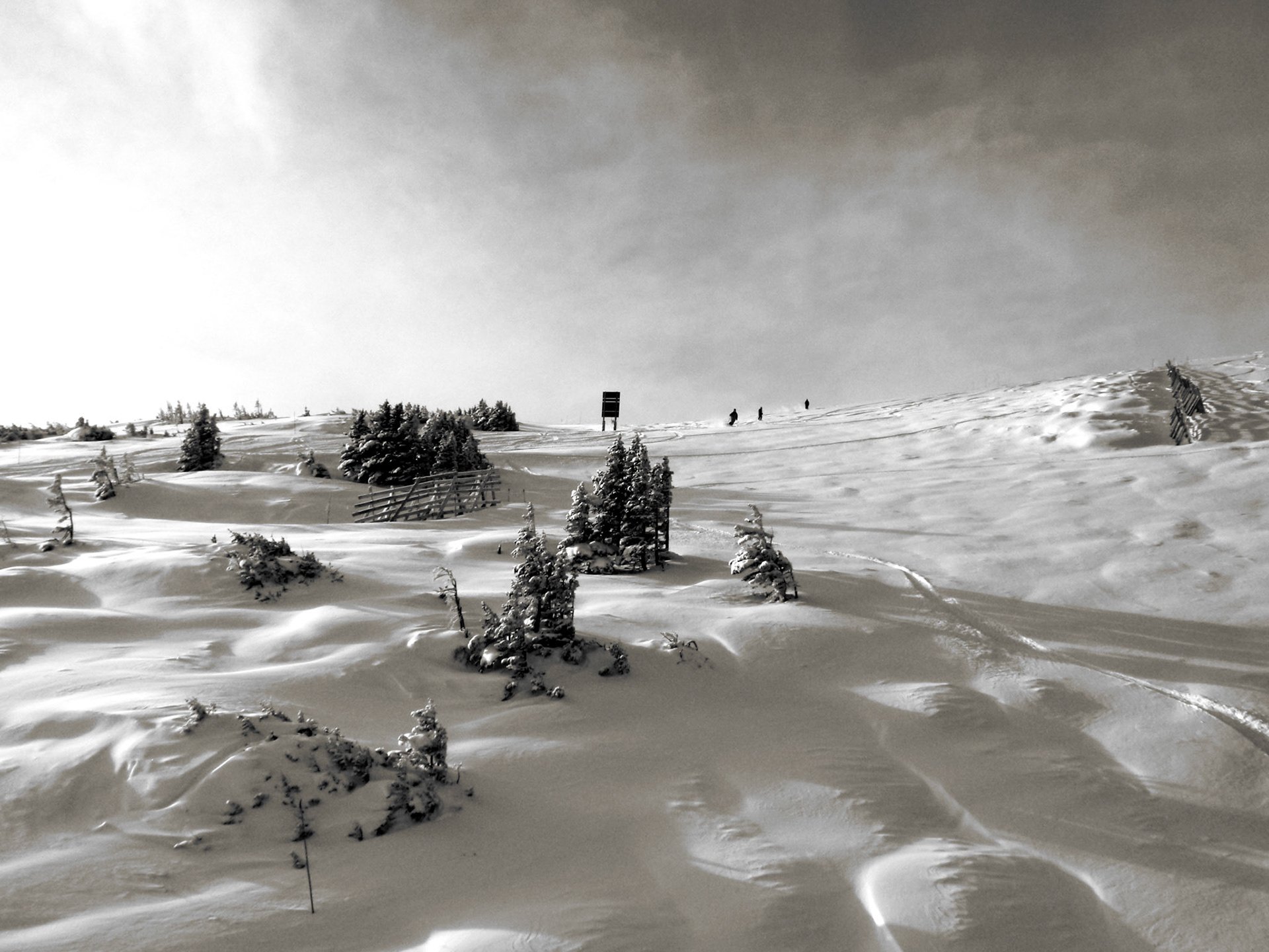 First Tracks