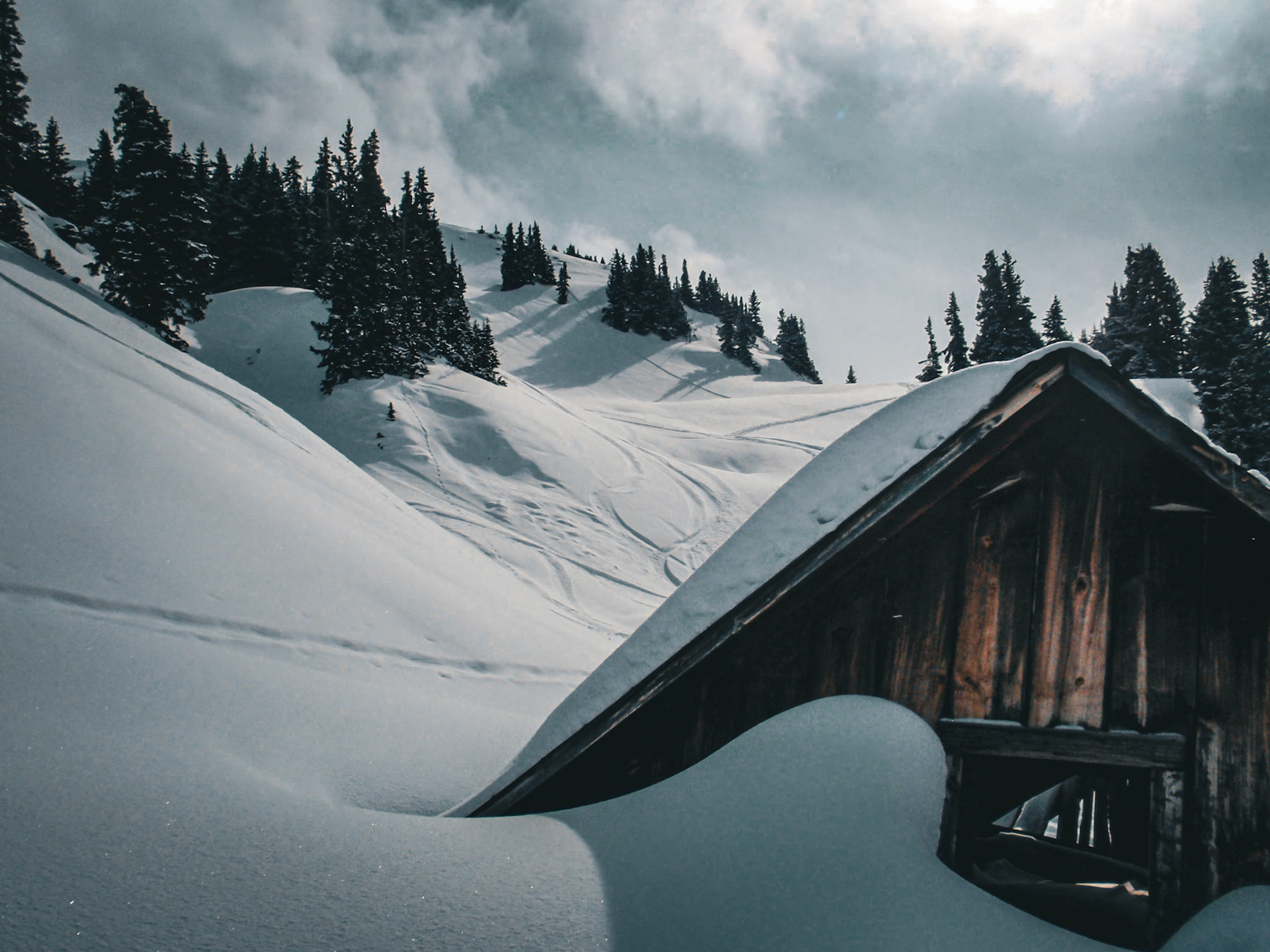 Snowed In