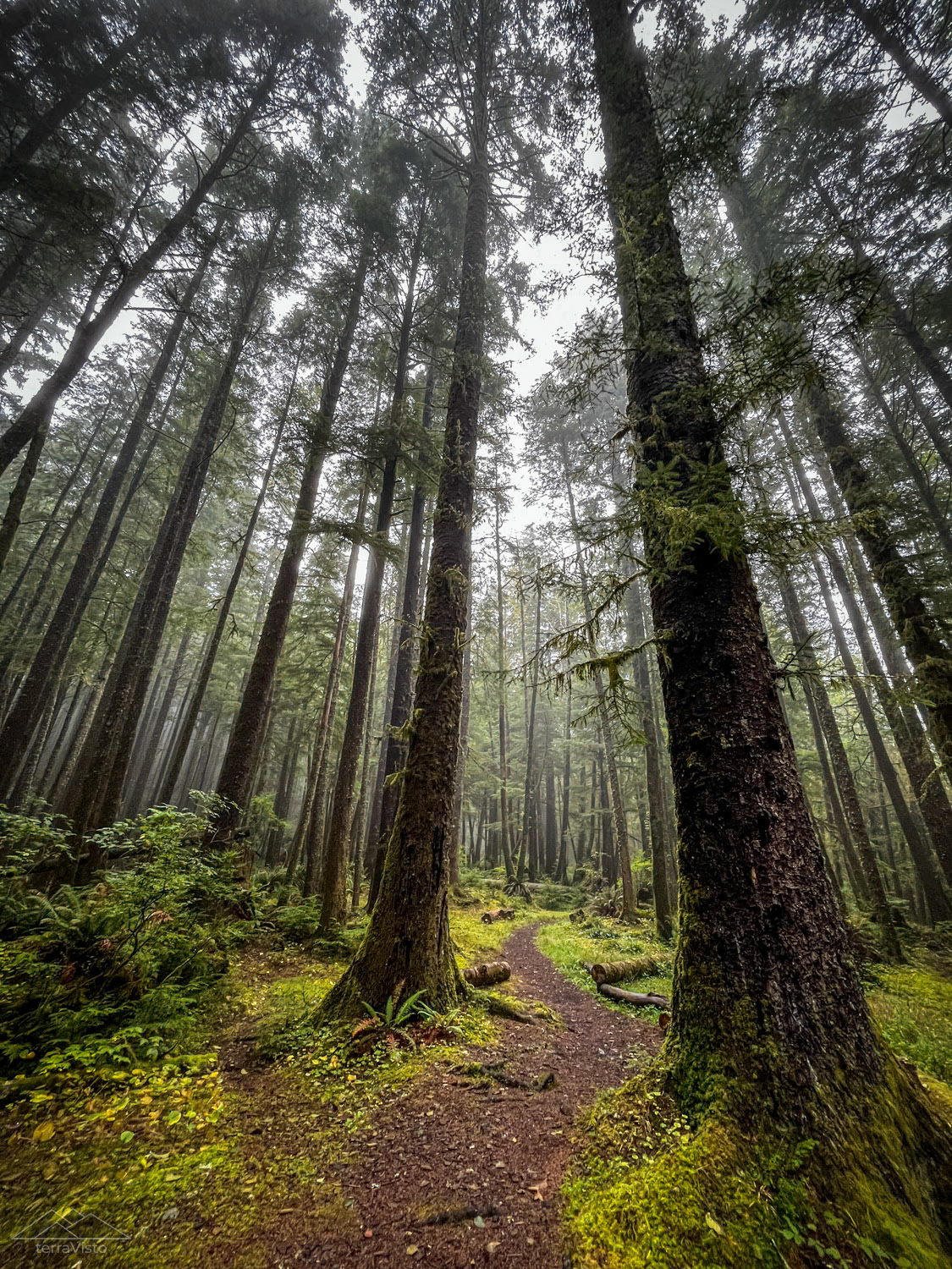 Extremely grateful for having this kind of terrain and canopy in our view for most of the adventure.
