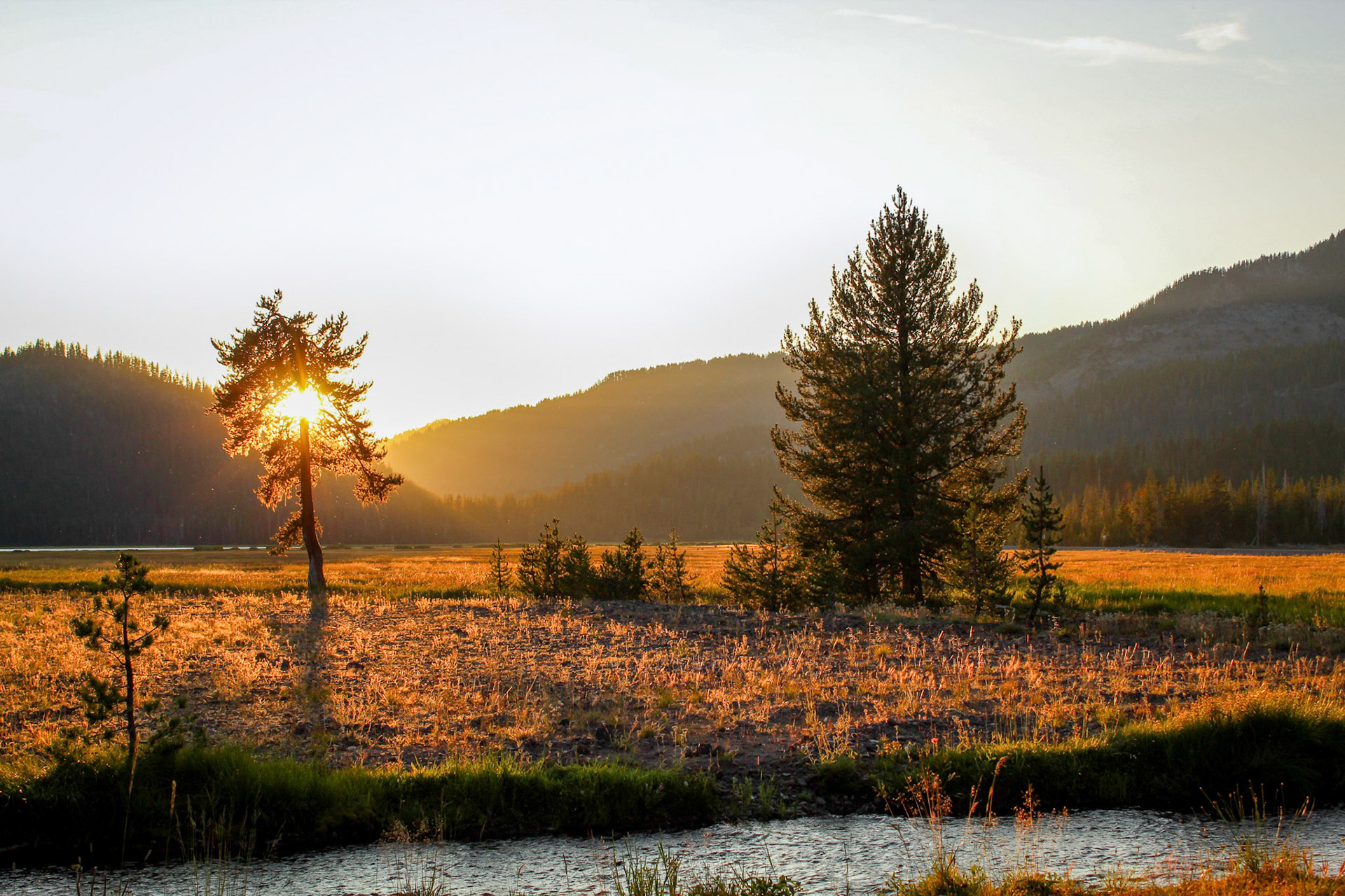 Soda Creek
