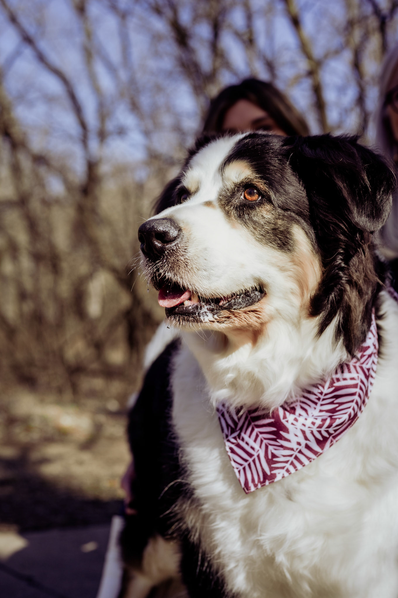 End of Life Shoot: Bernie