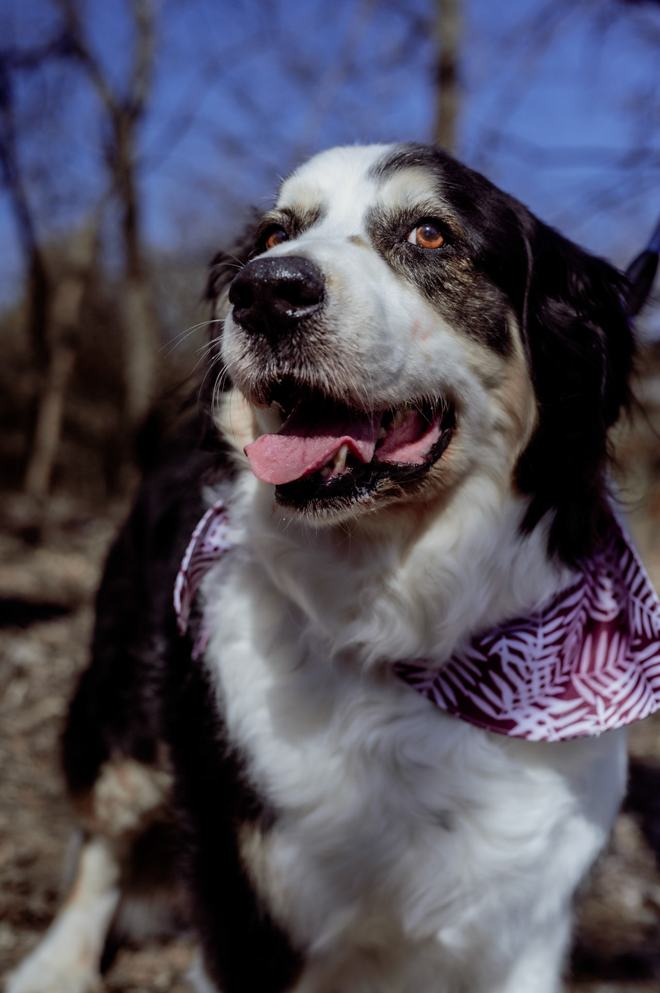 End of Life Shoot: Bernie