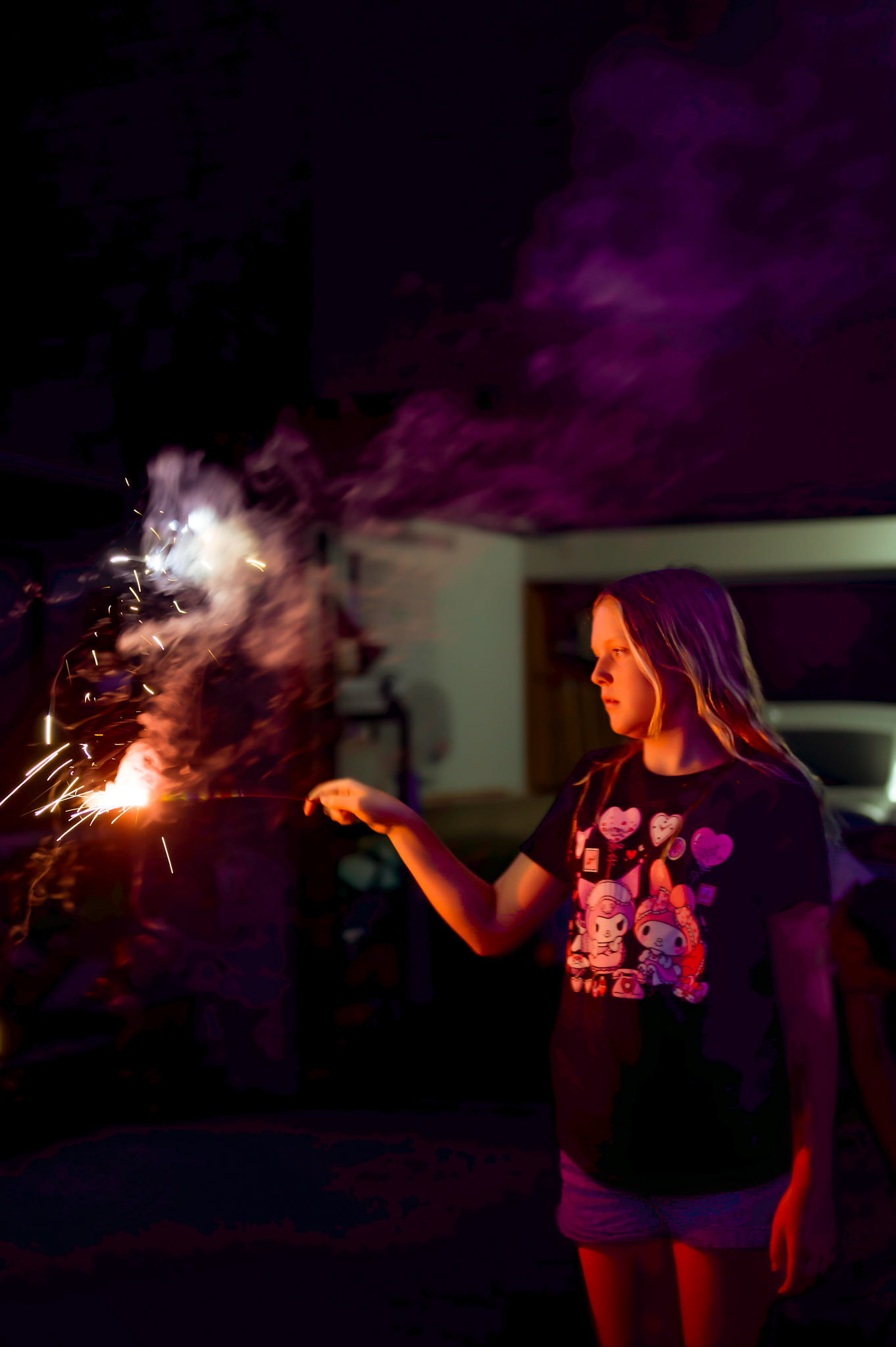 4th of July Family Mini