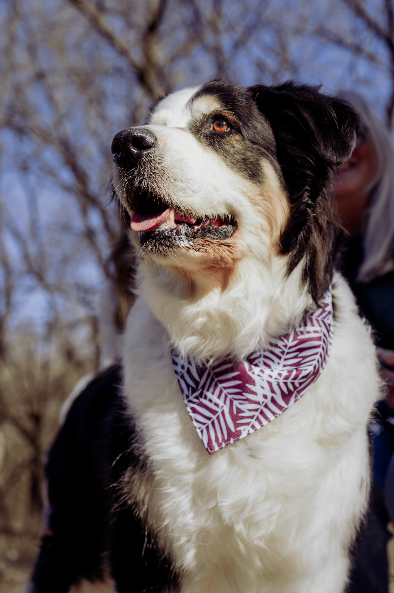 End of Life Shoot: Bernie