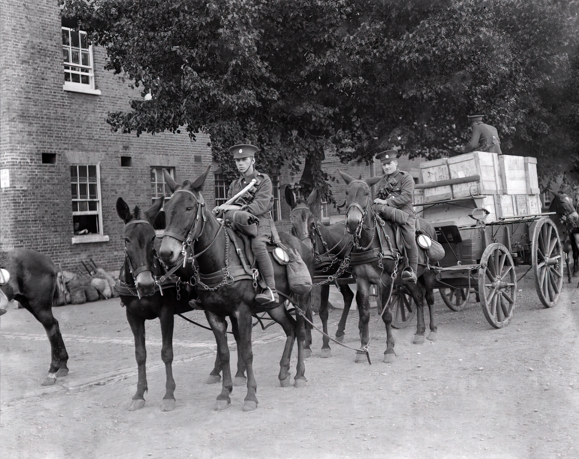 British Expeditionar Force in Ayr Scotland, 1915