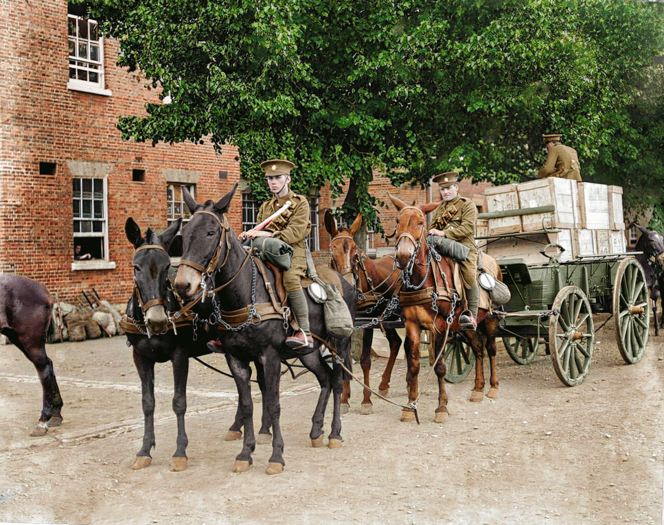 British Expeditionar Force in Ayr Scotland, 1915 - Colorized