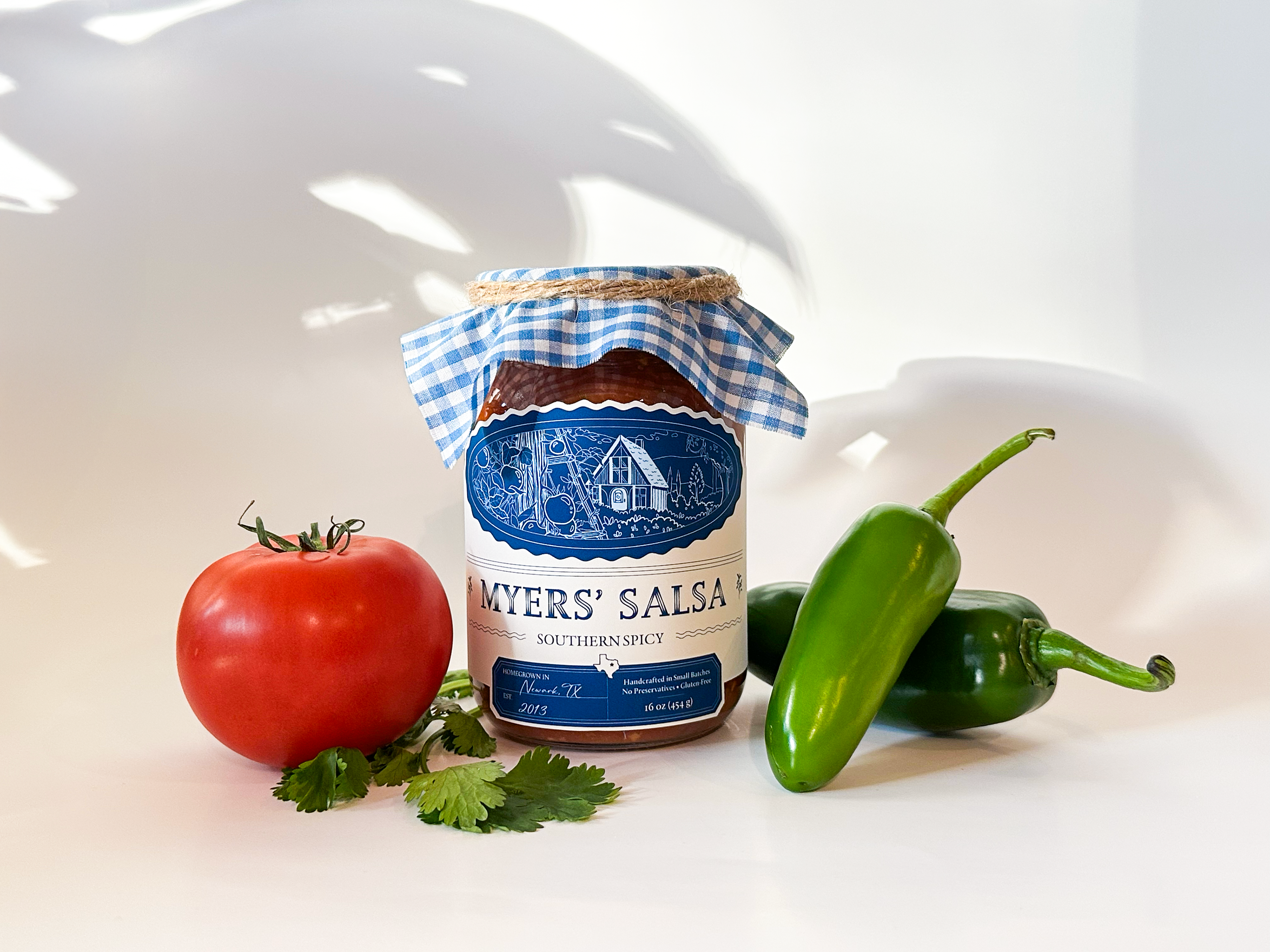 A horizontal picture of the salsa with vegetables surrounding it.