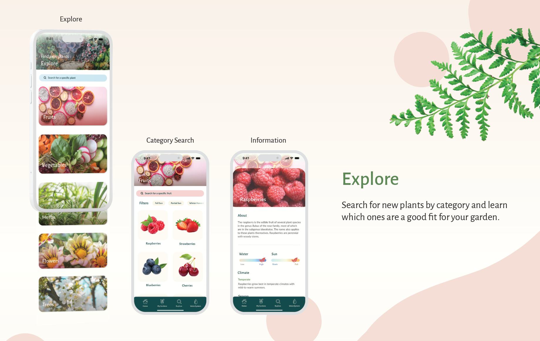 Three screens of the app "Sprout" showing the explore page, with categorized lists of plants, fruits, and more.